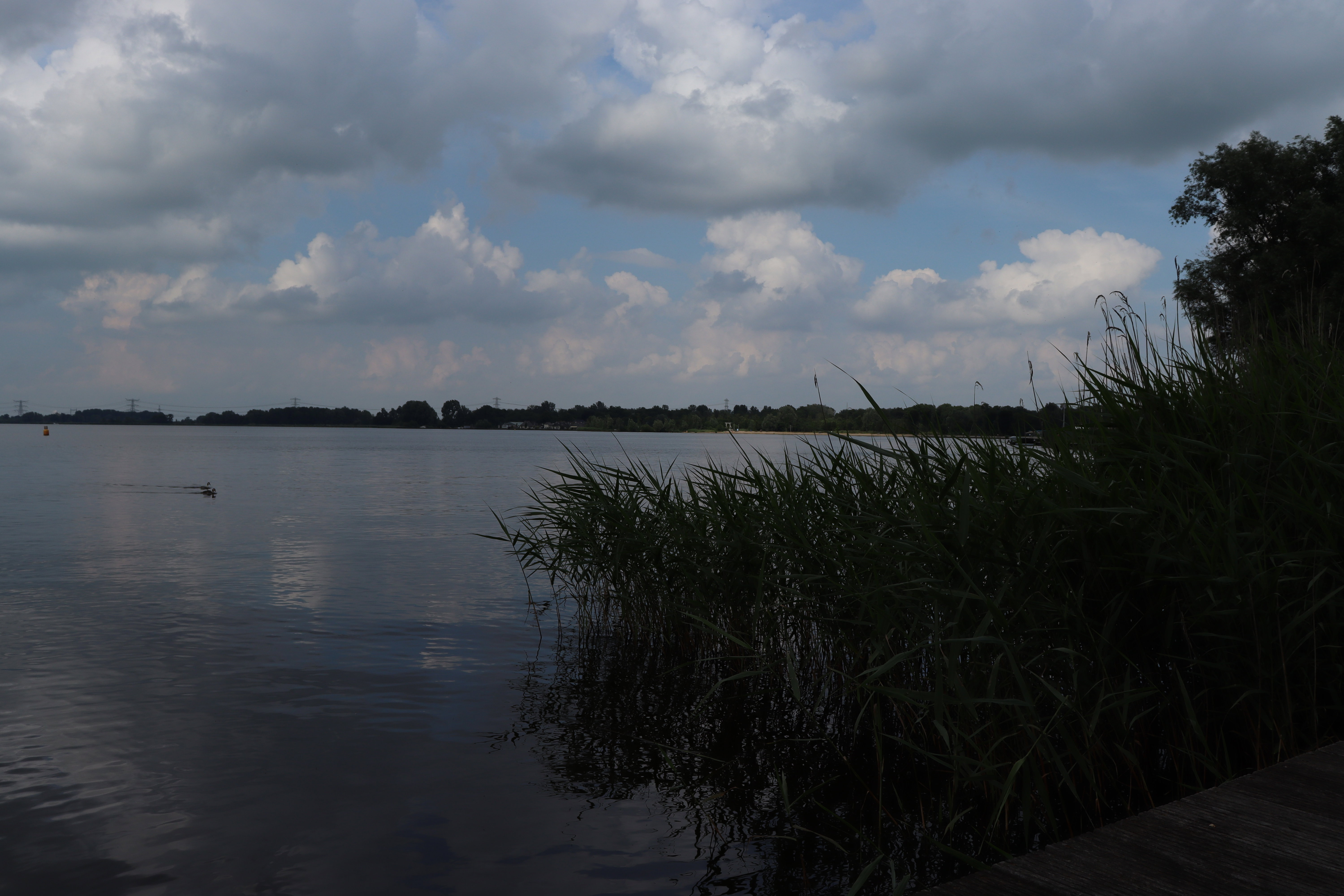 - image: 12