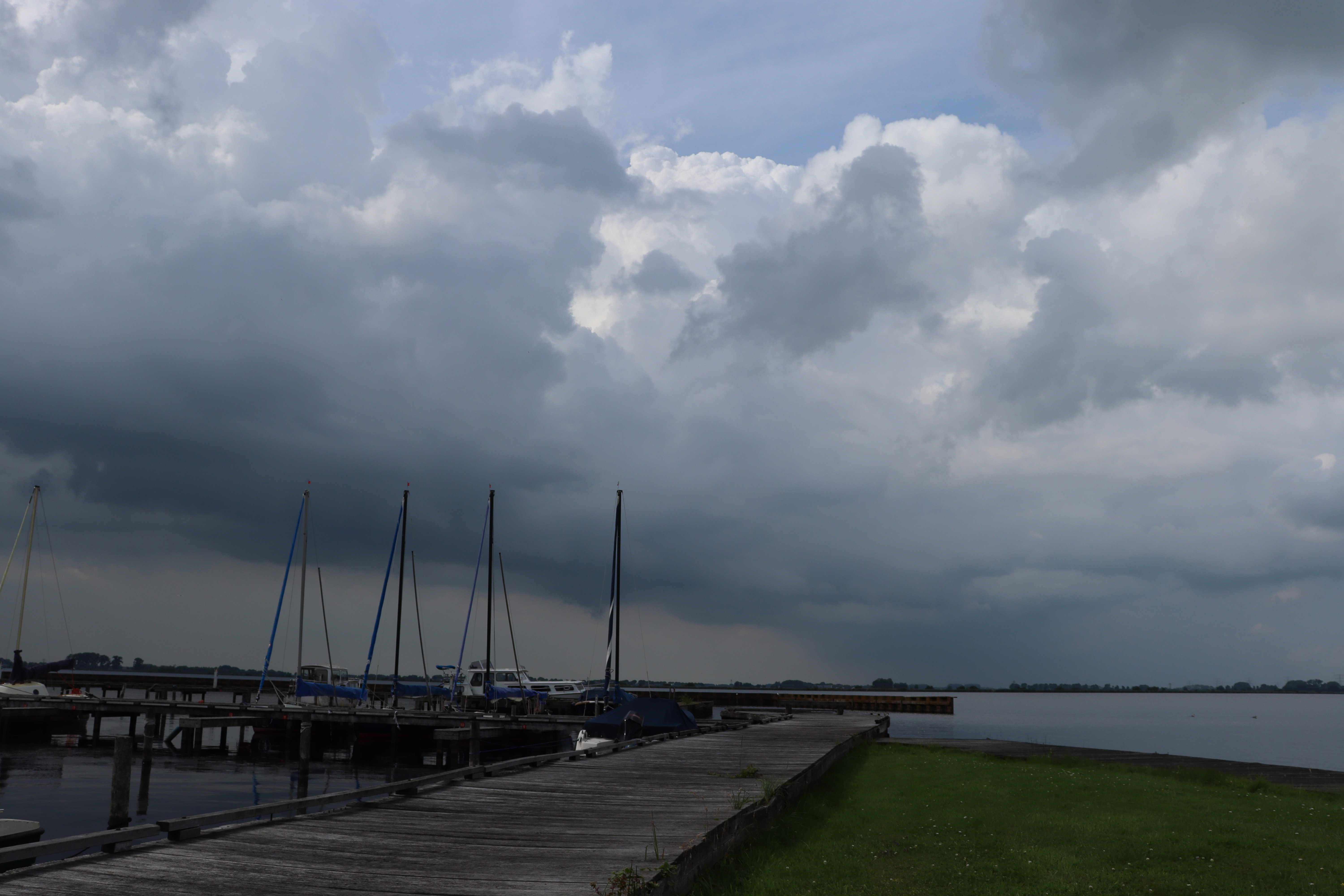 - image: 11