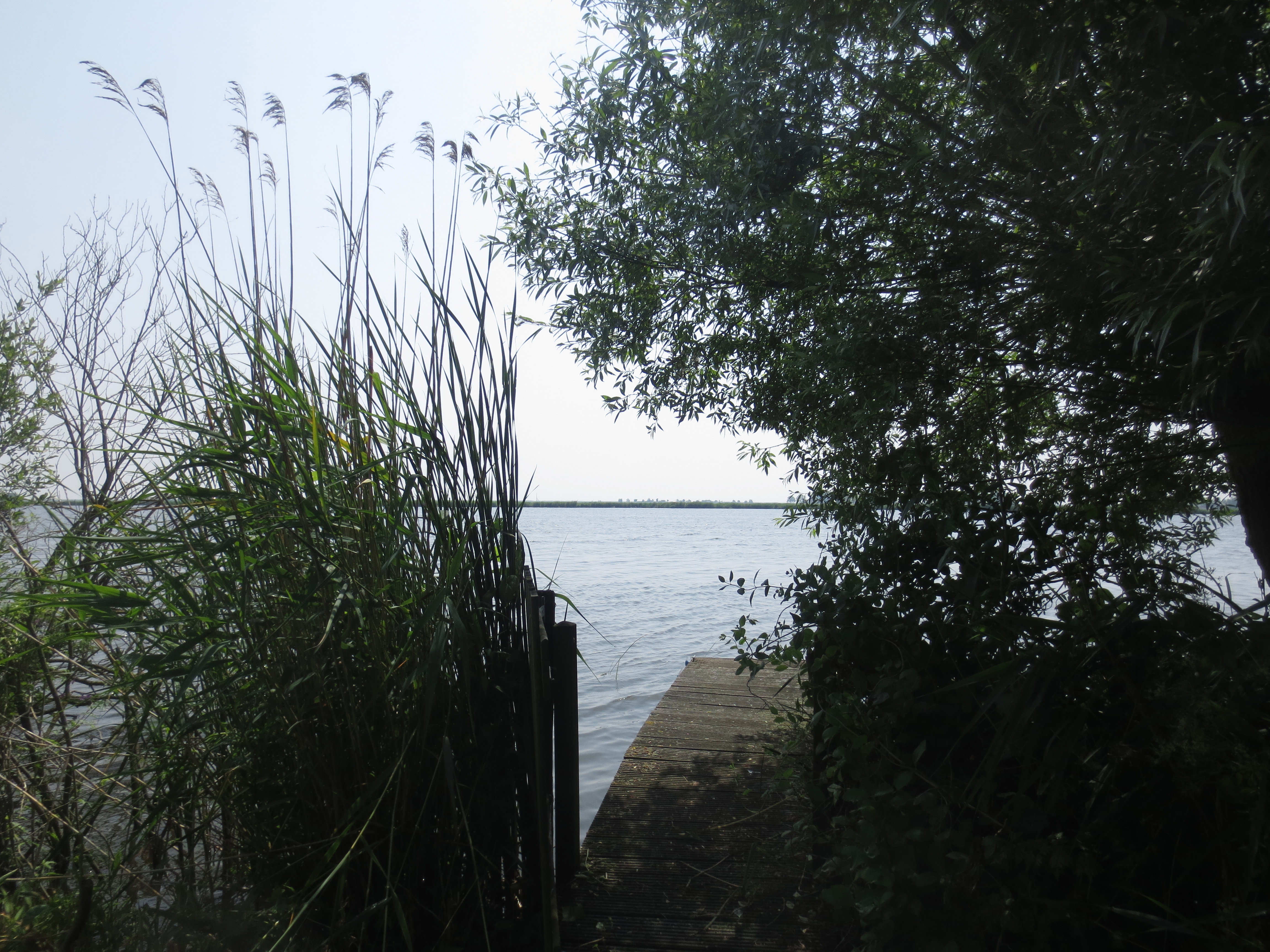Naturhäuschen in Amsterdam