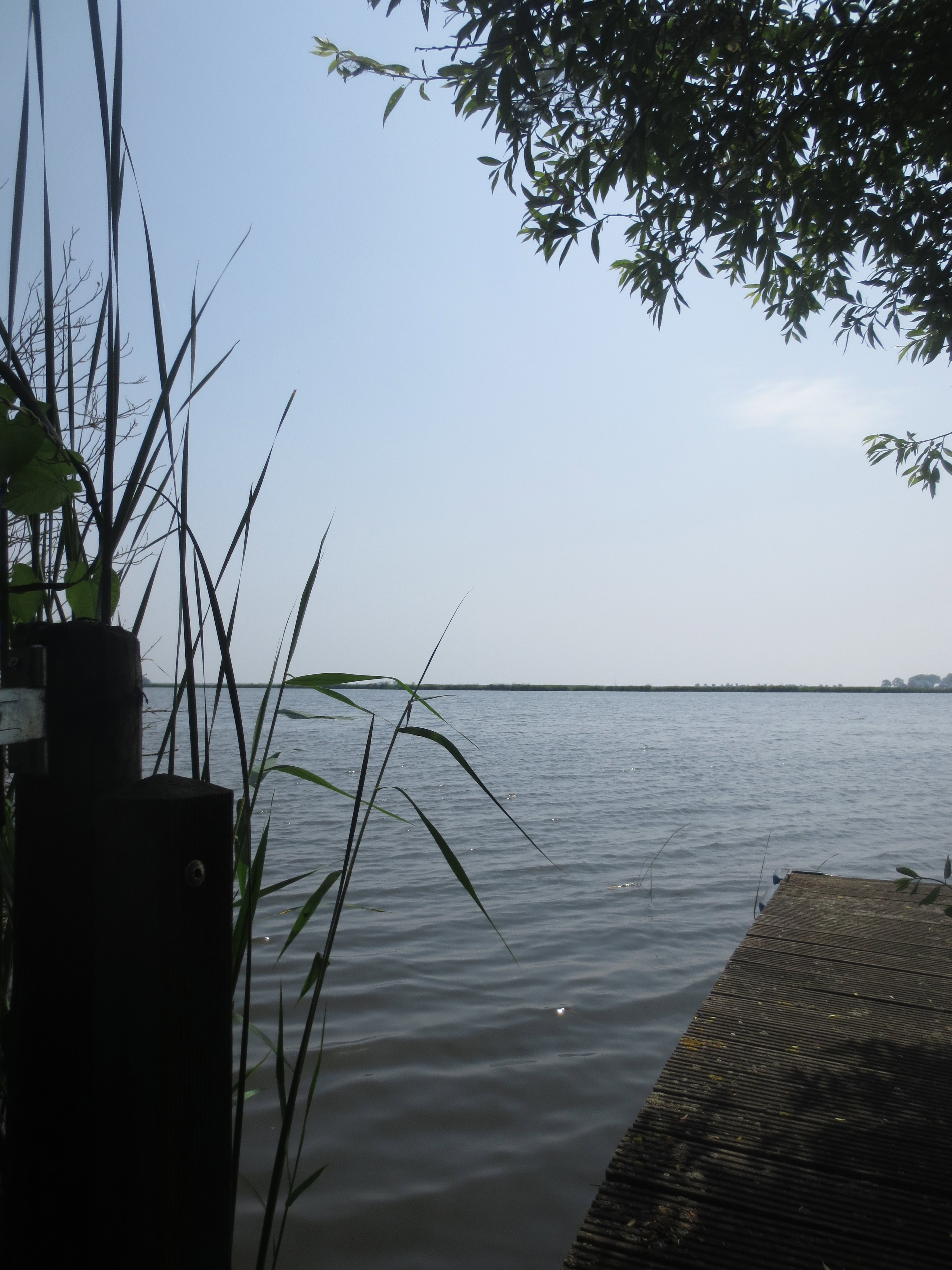 - image: 14