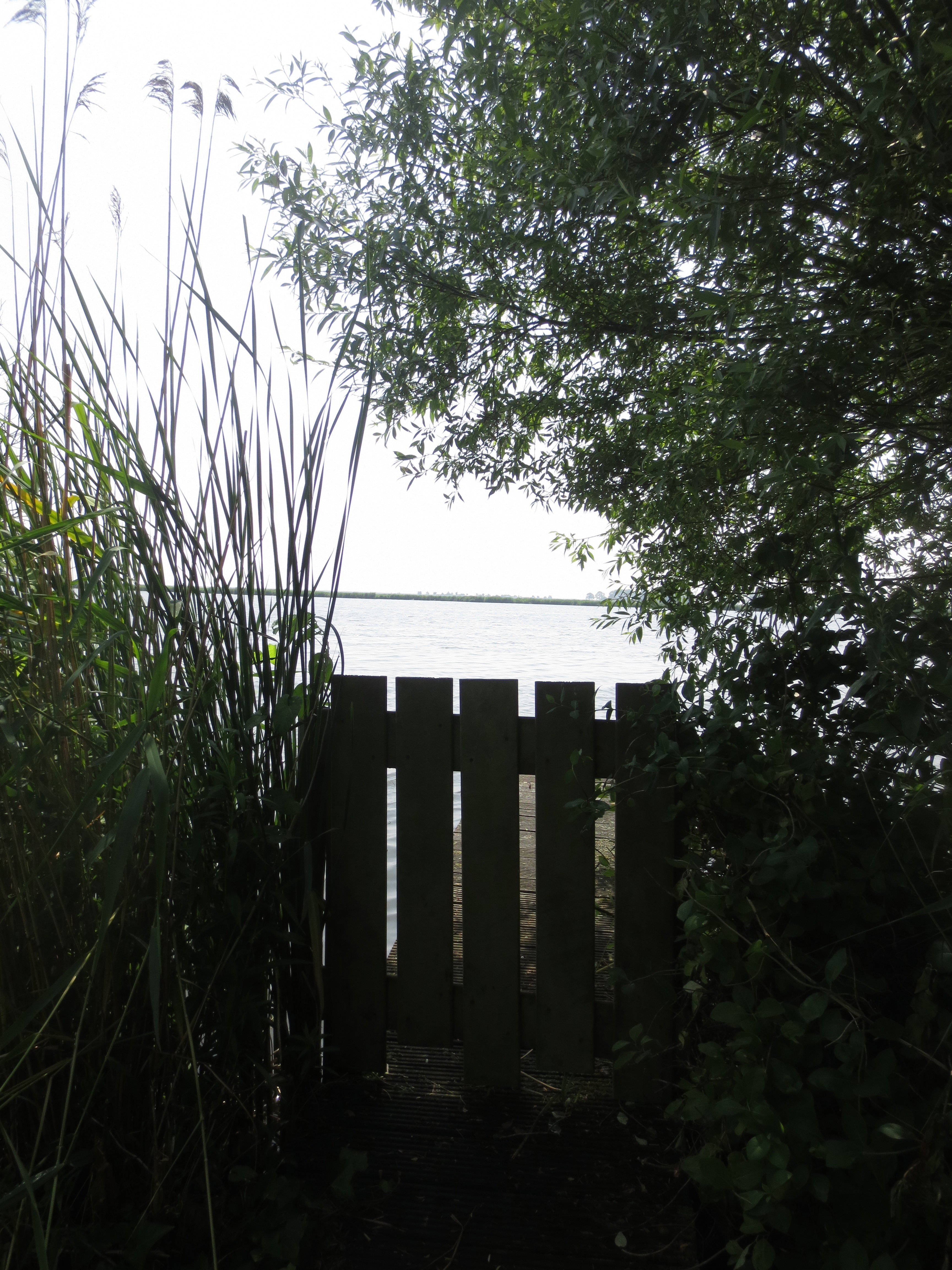 Naturhäuschen in Amsterdam