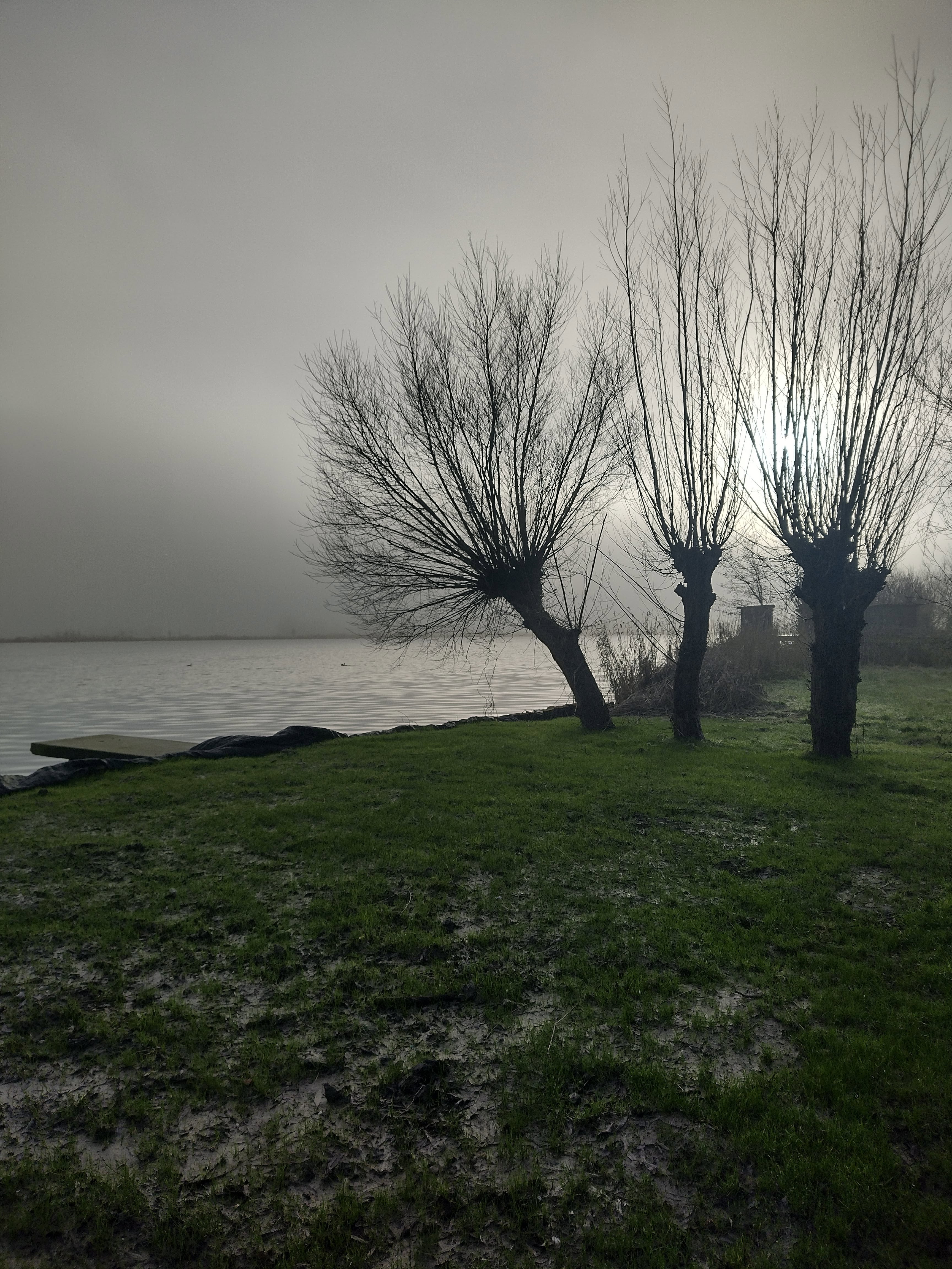 - image: 28