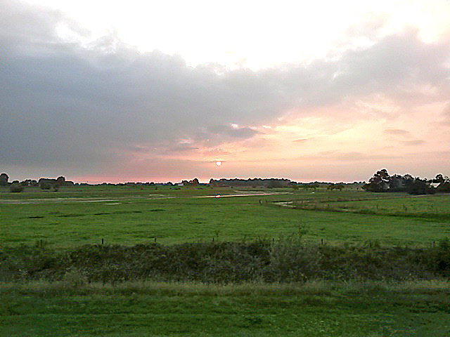 - image: 16