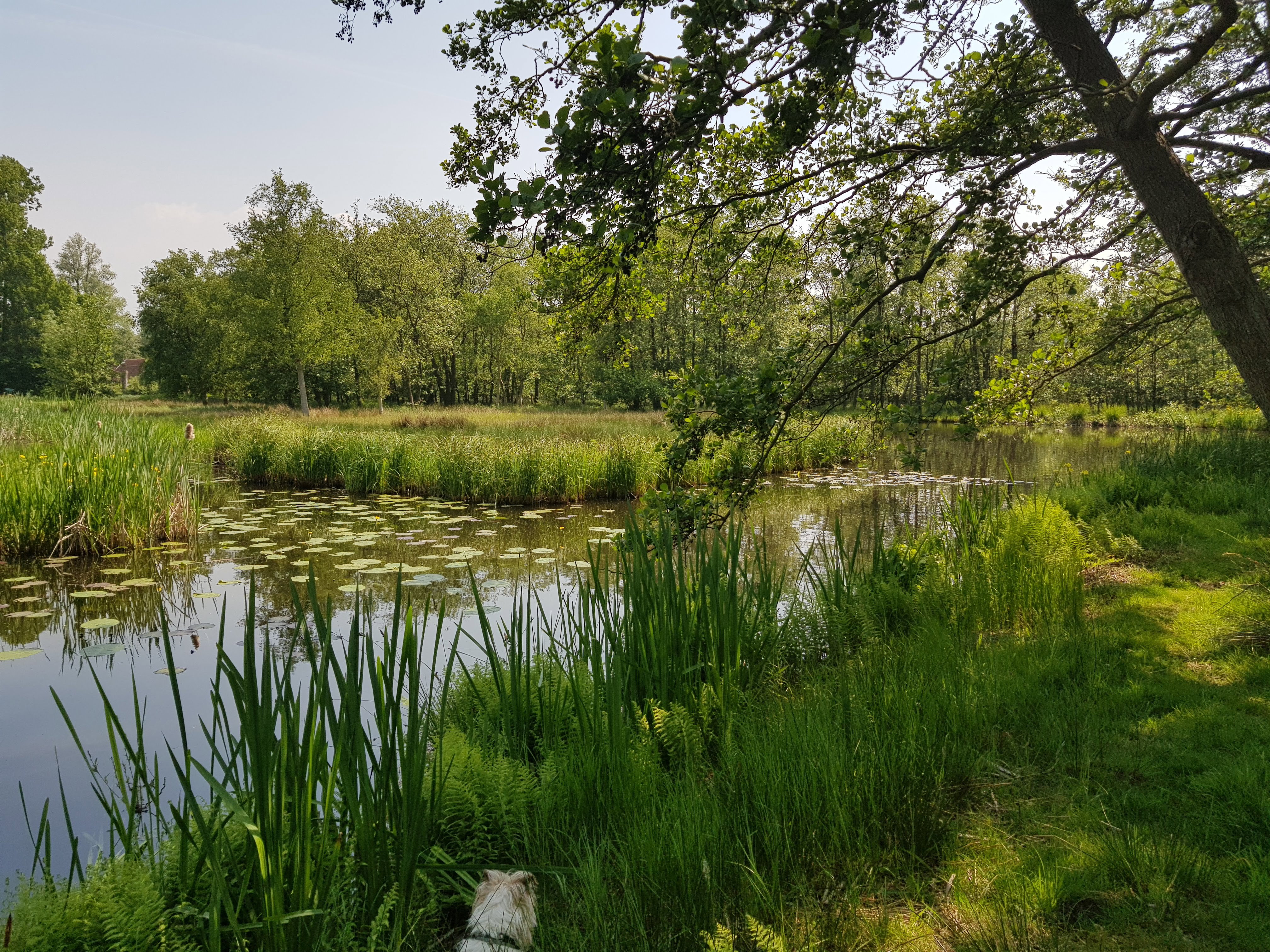 Naturhäuschen in Kortenhoef