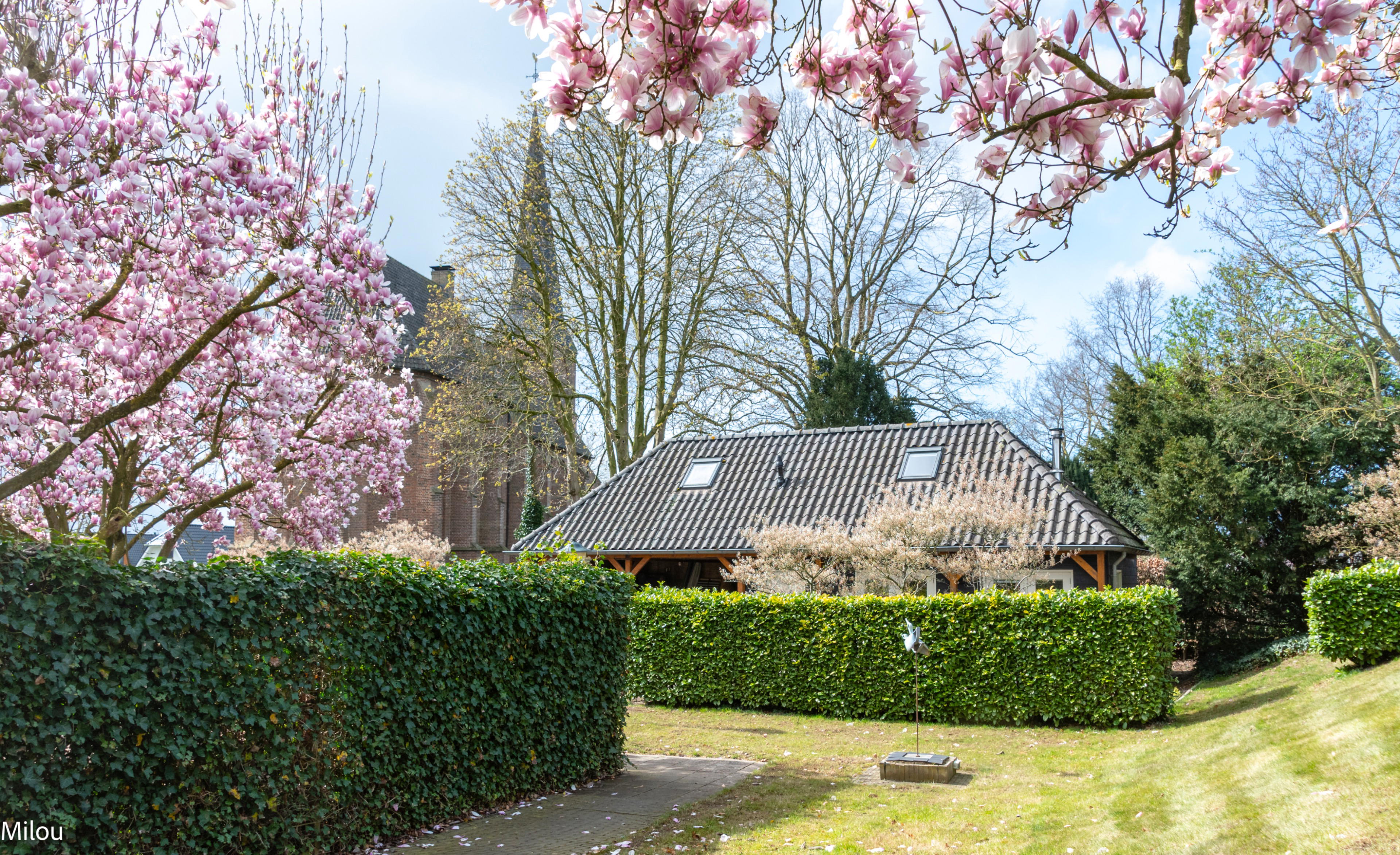 Nature house in Aerdt