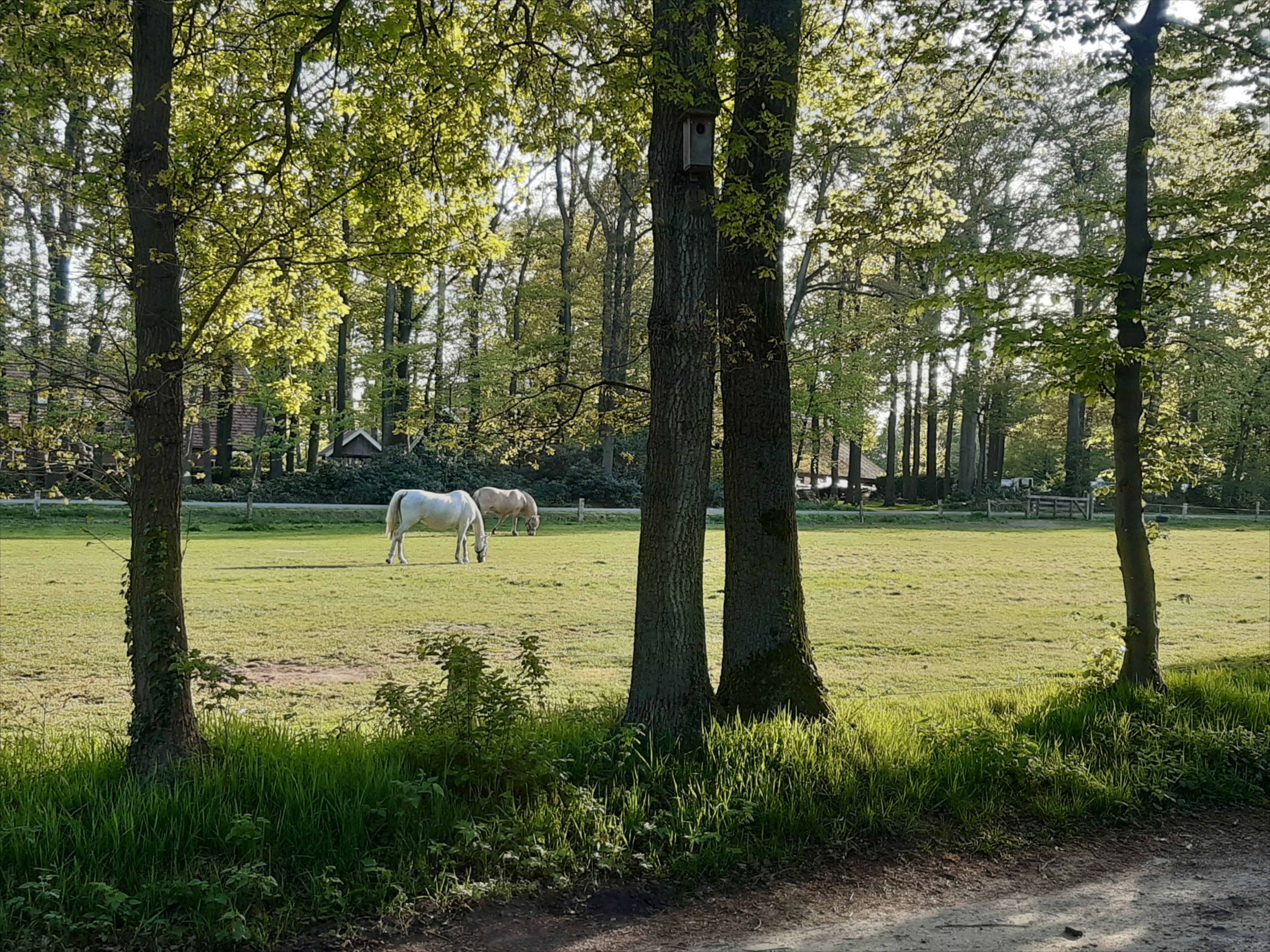 Naturhäuschen in Nutter