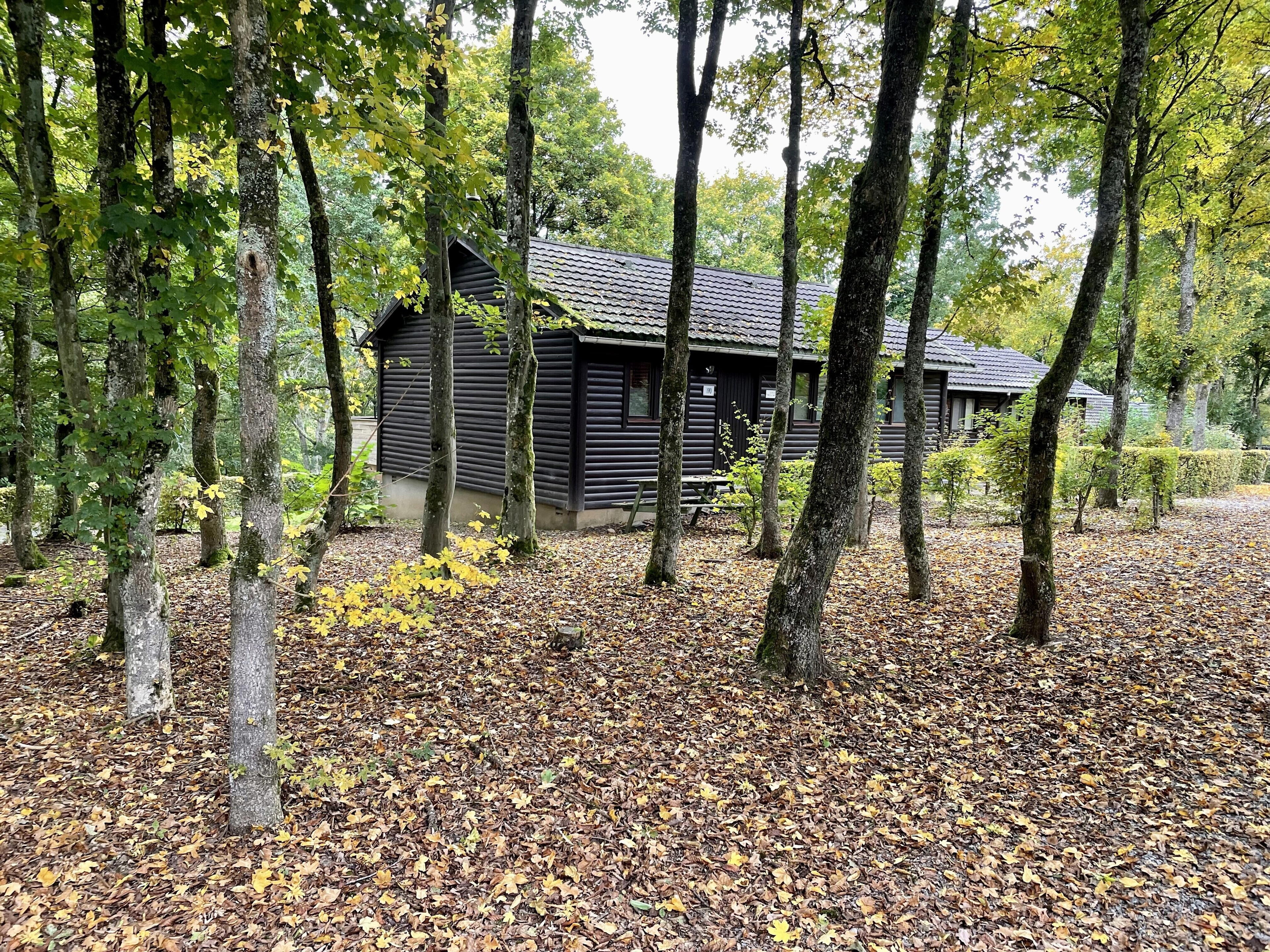 Natuurhuisje in Rendeux