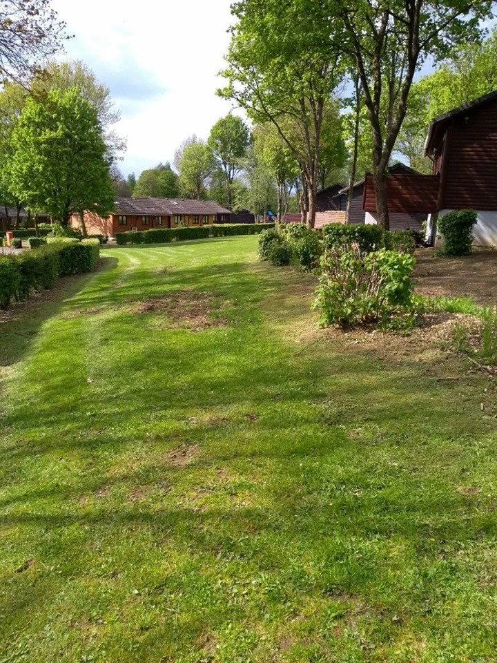 - image: 14