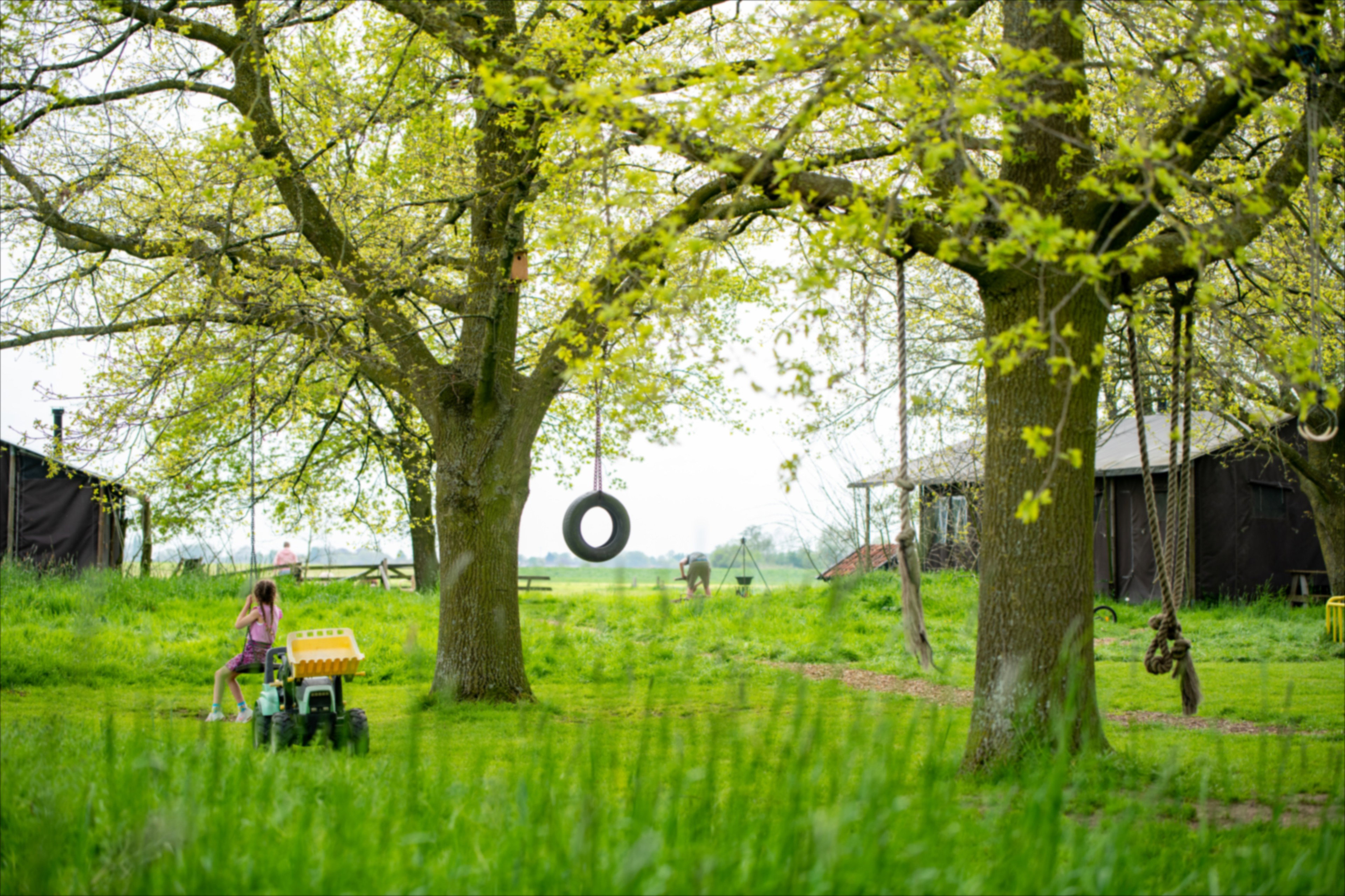Natuurhuisje in Aarlanderveen