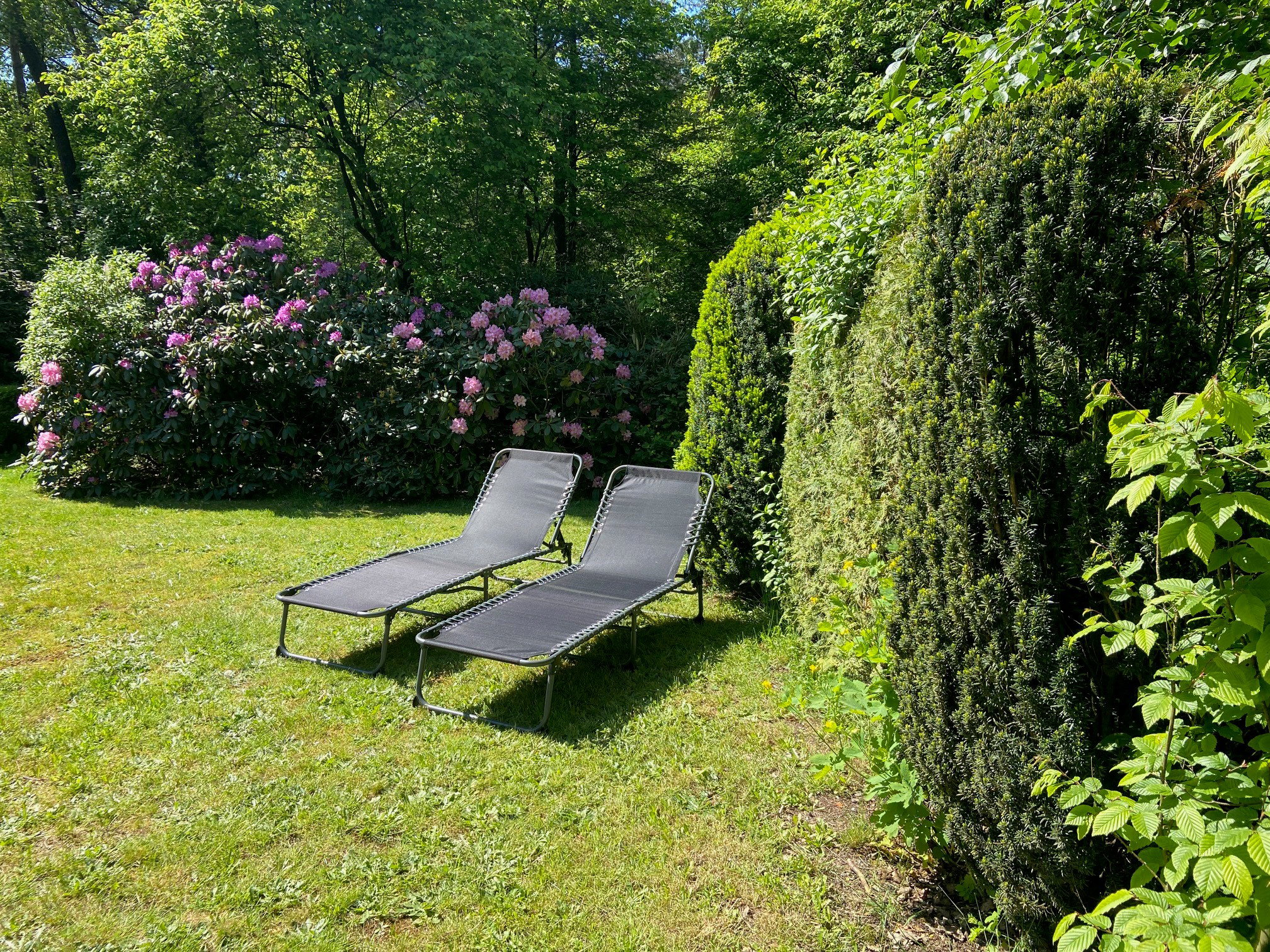 Natuurhuisje in Otterlo