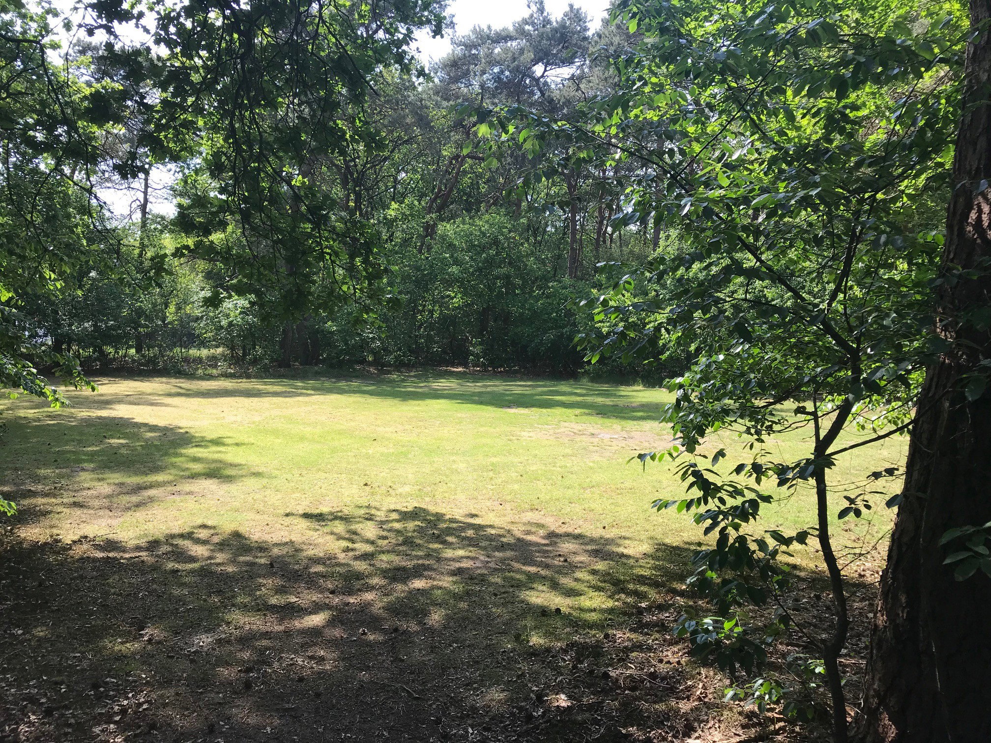 Natuurhuisje in Otterlo