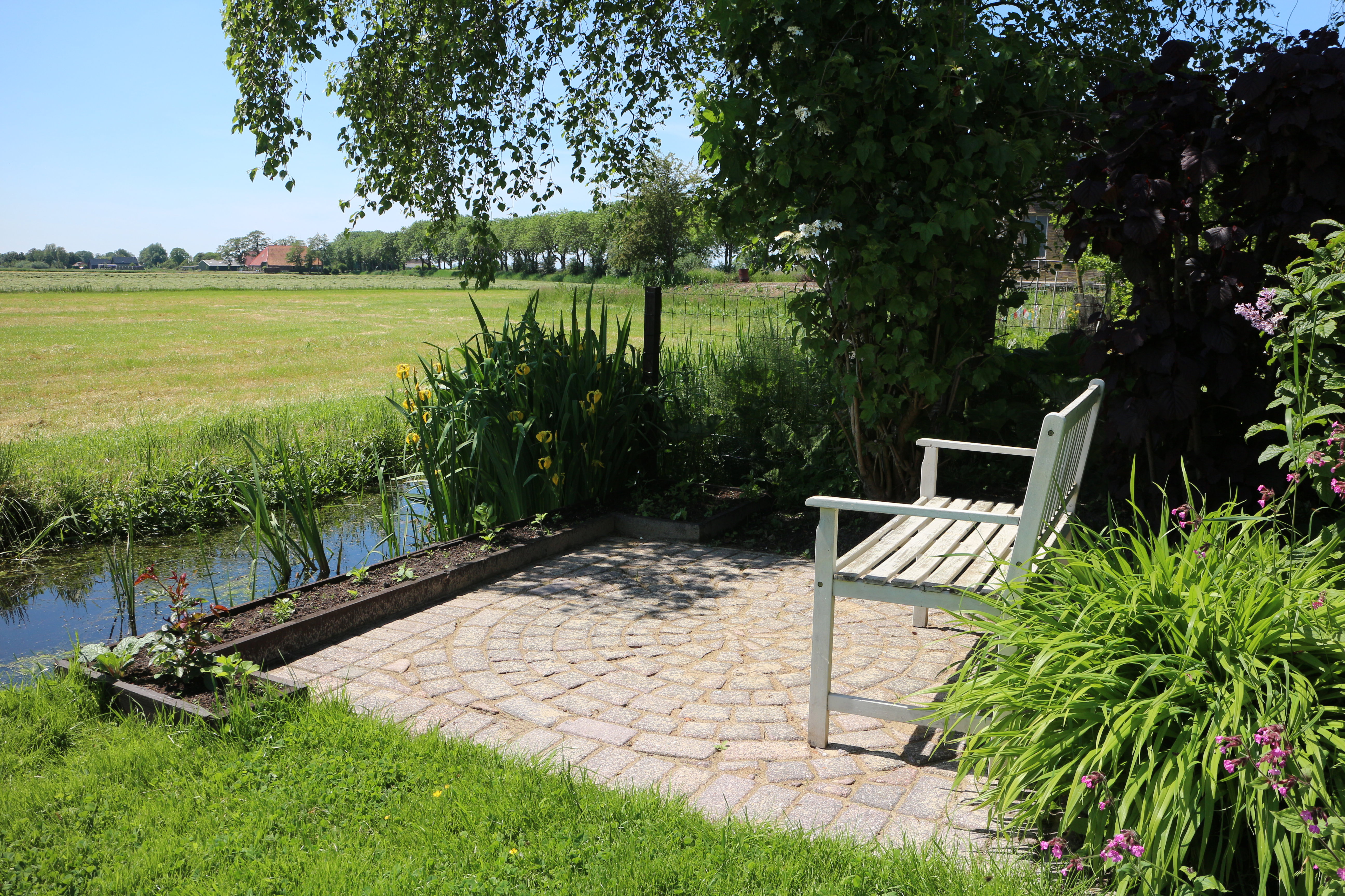 Casa nella natura a Langelille/Friesland
