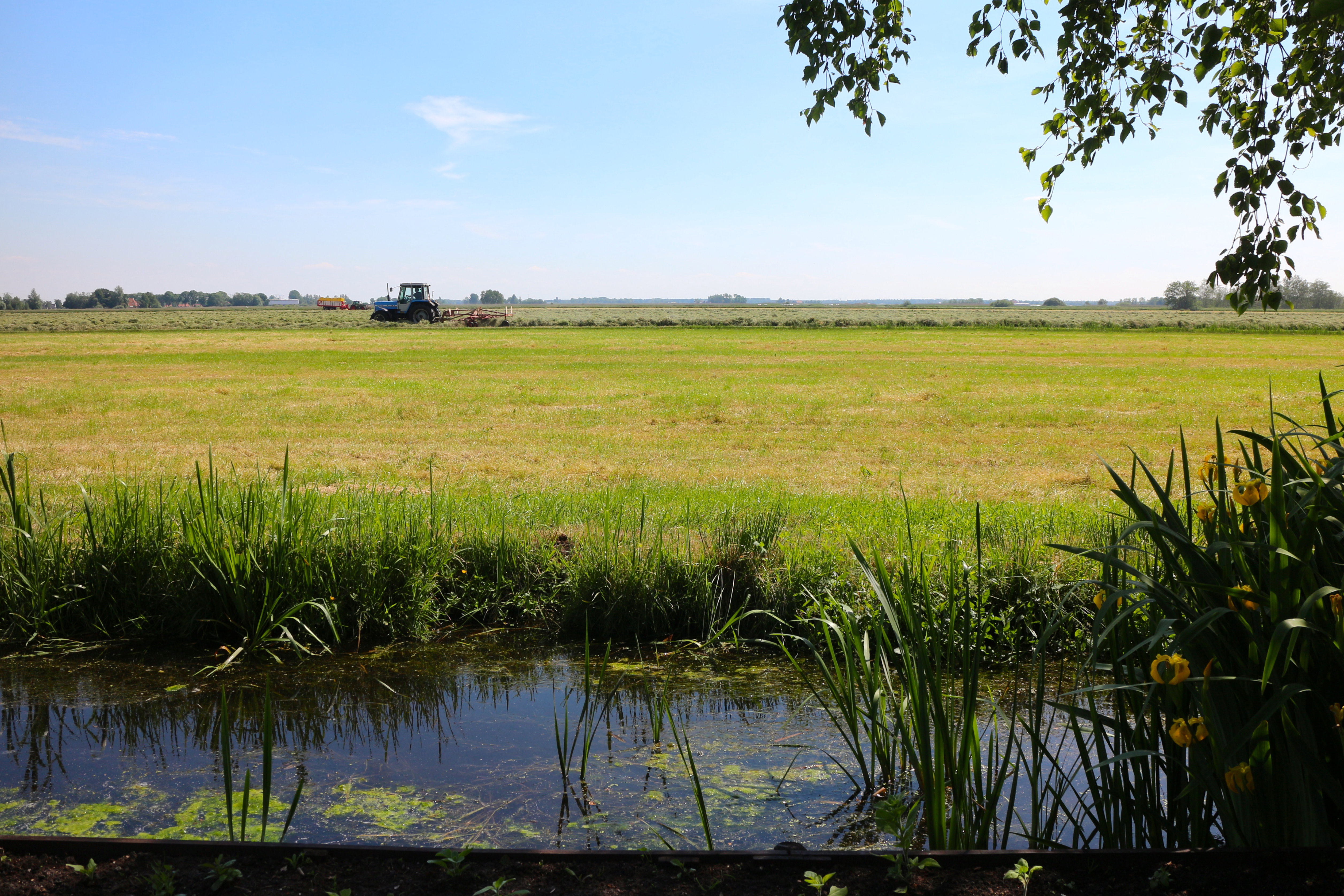 Casa nella natura a Langelille/Friesland