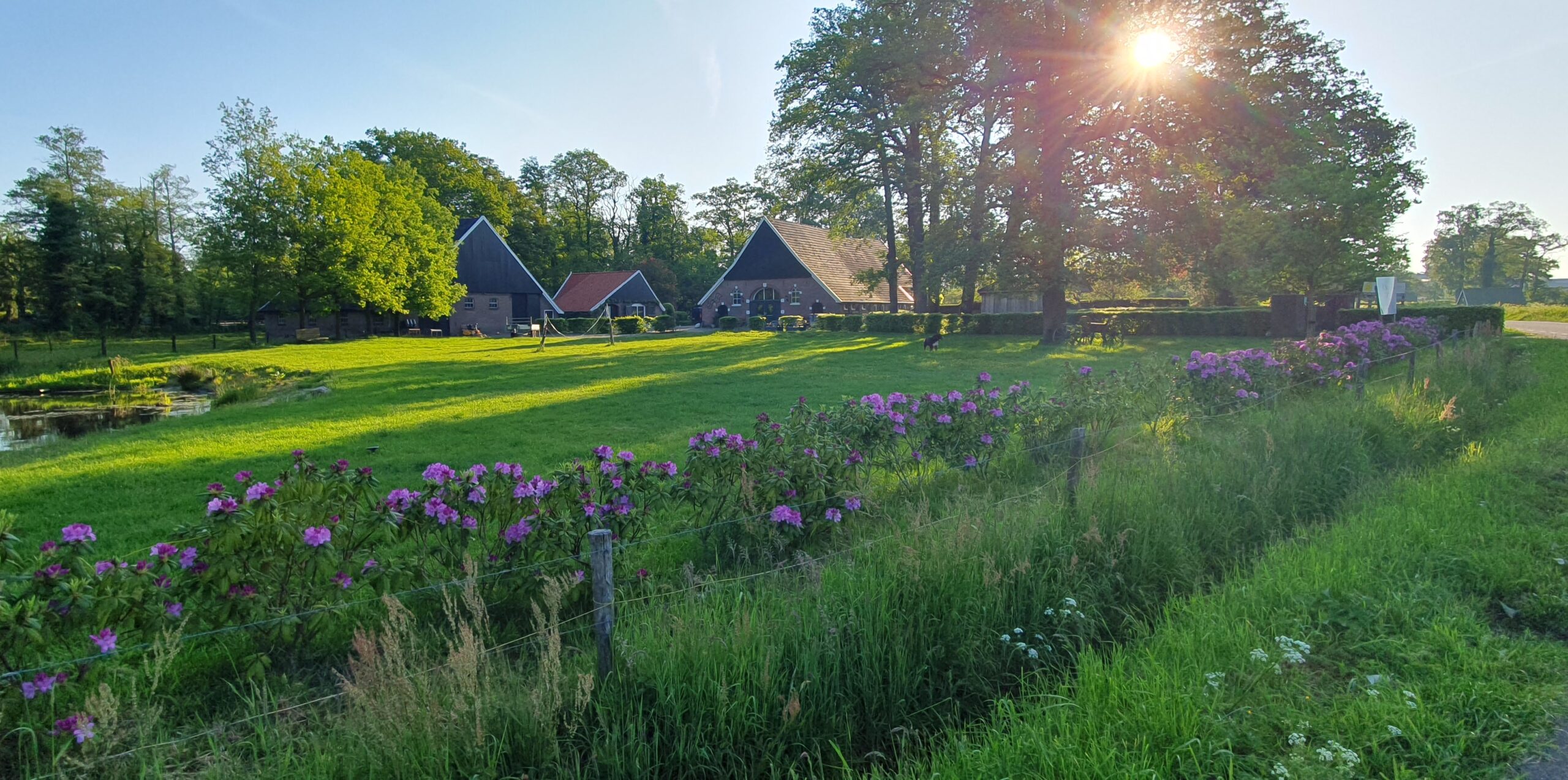 Natuurhuisje in Enschede
