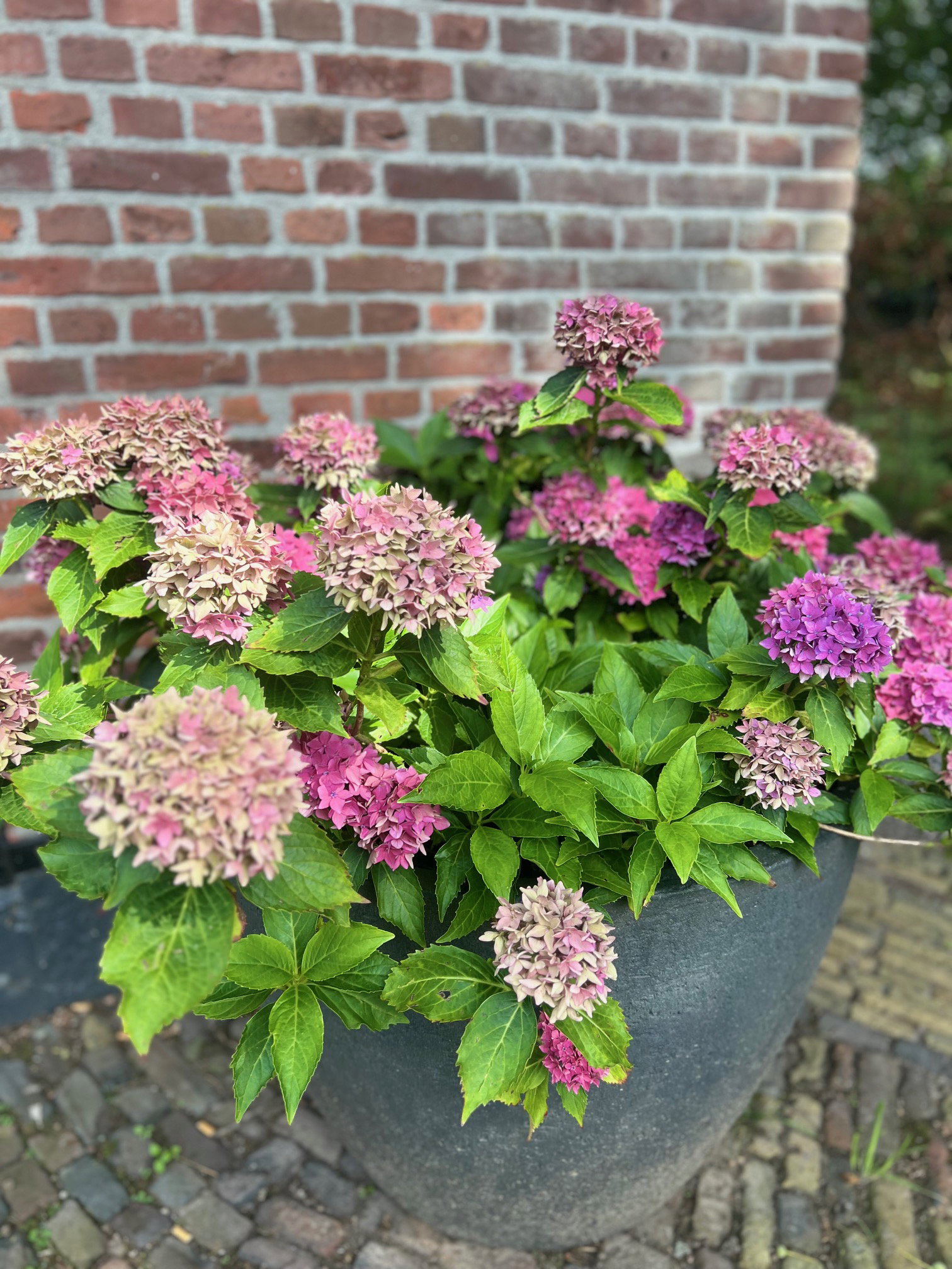 Natuurhuisje in Enschede