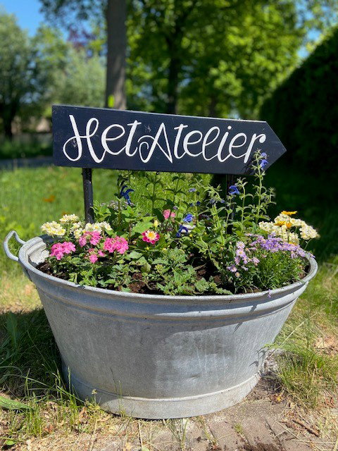 - image: 23