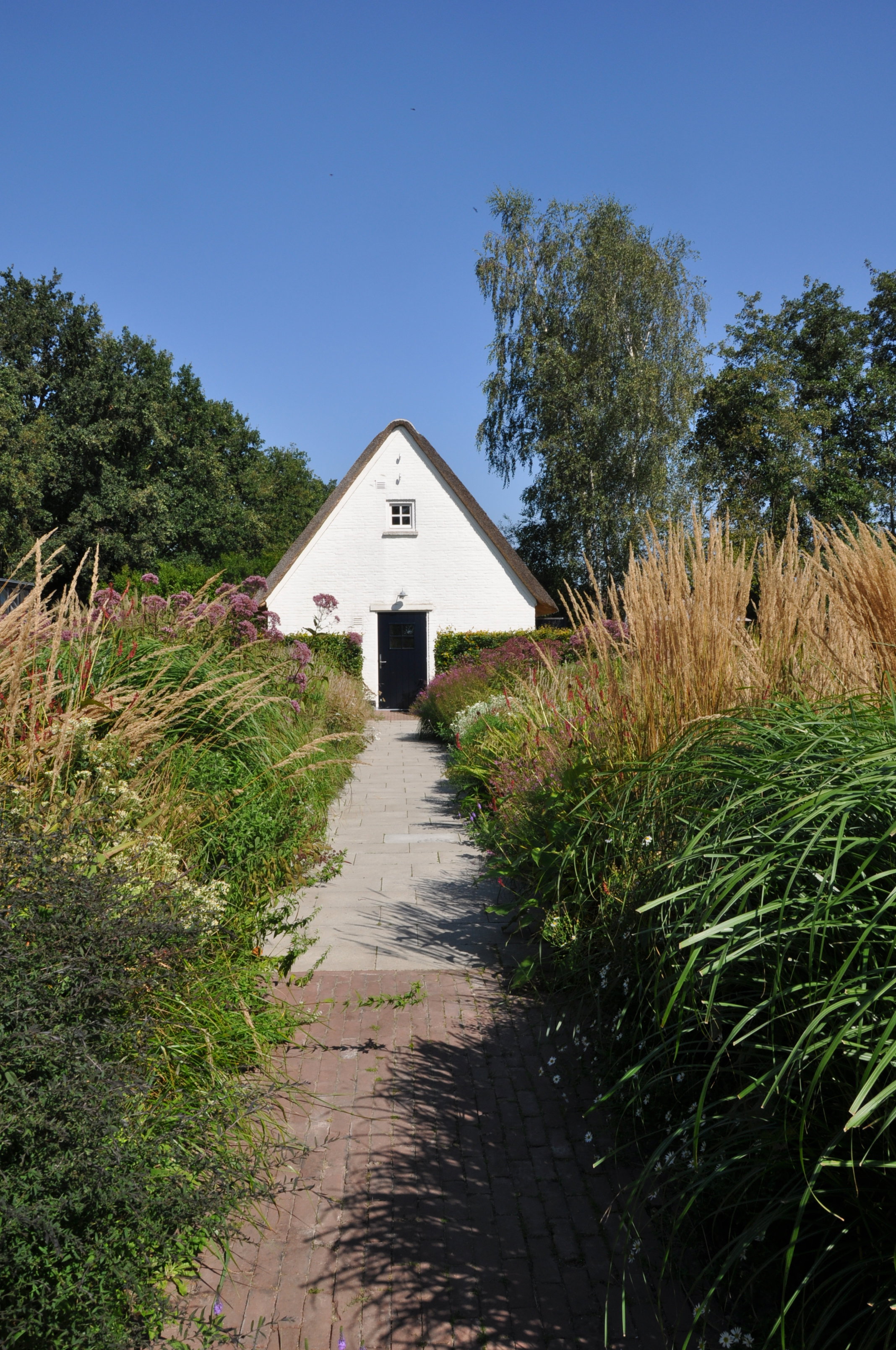 - image: 24
