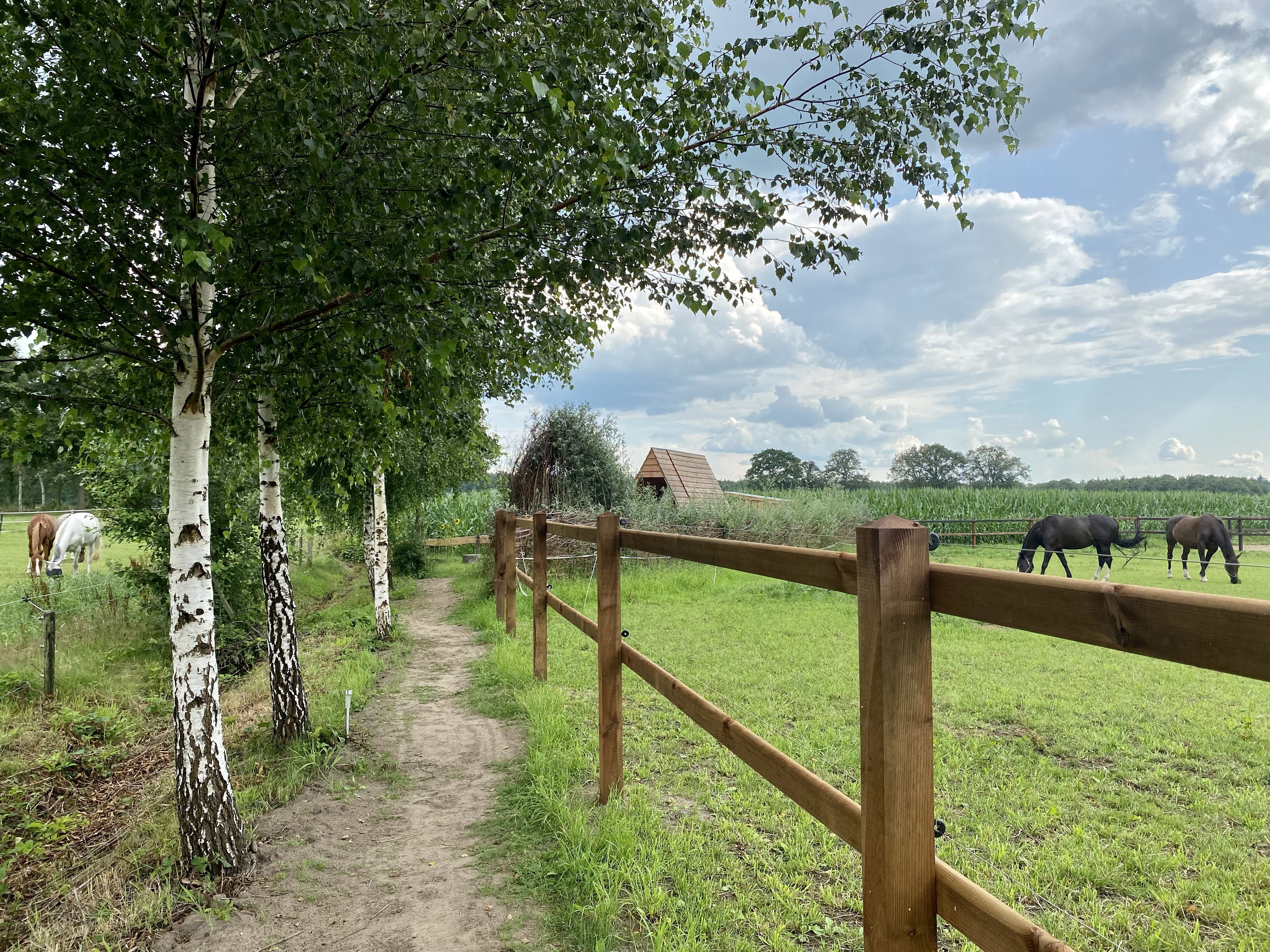 Naturhäuschen in Okkenbroek