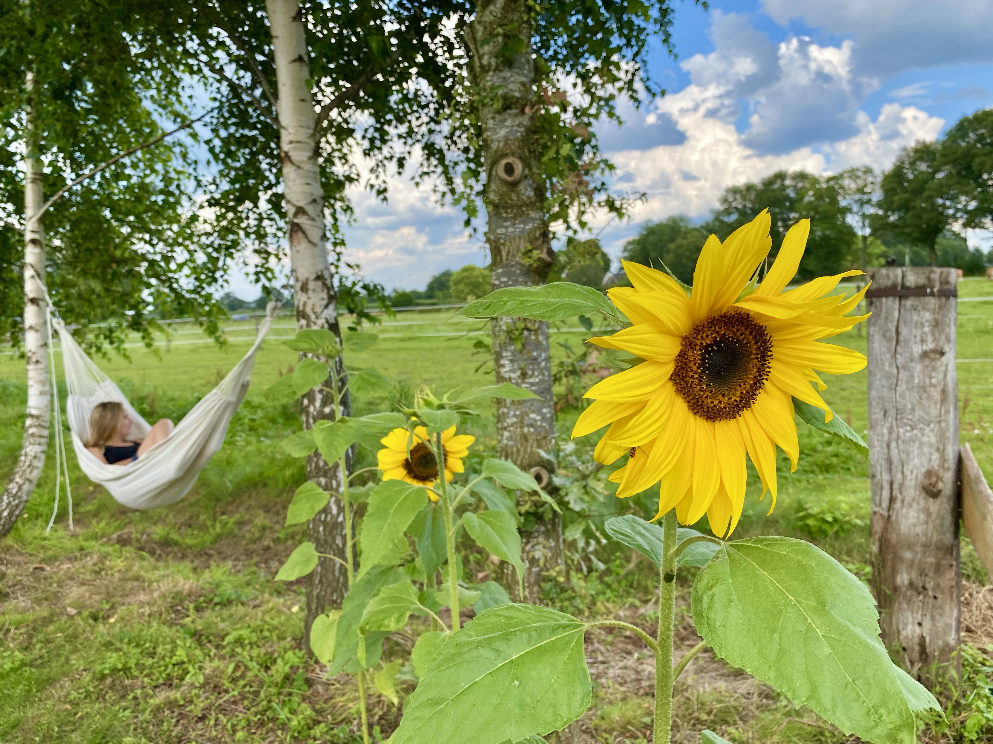 Naturhäuschen in Okkenbroek