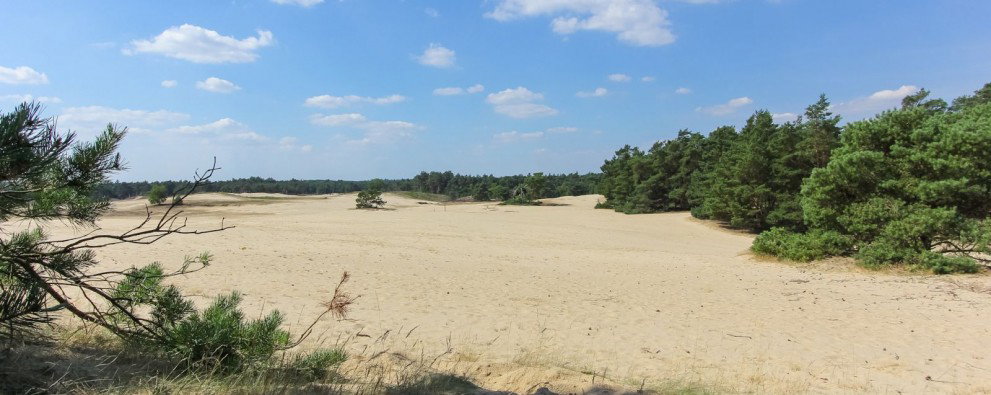 Natuurhuisje in Otterlo