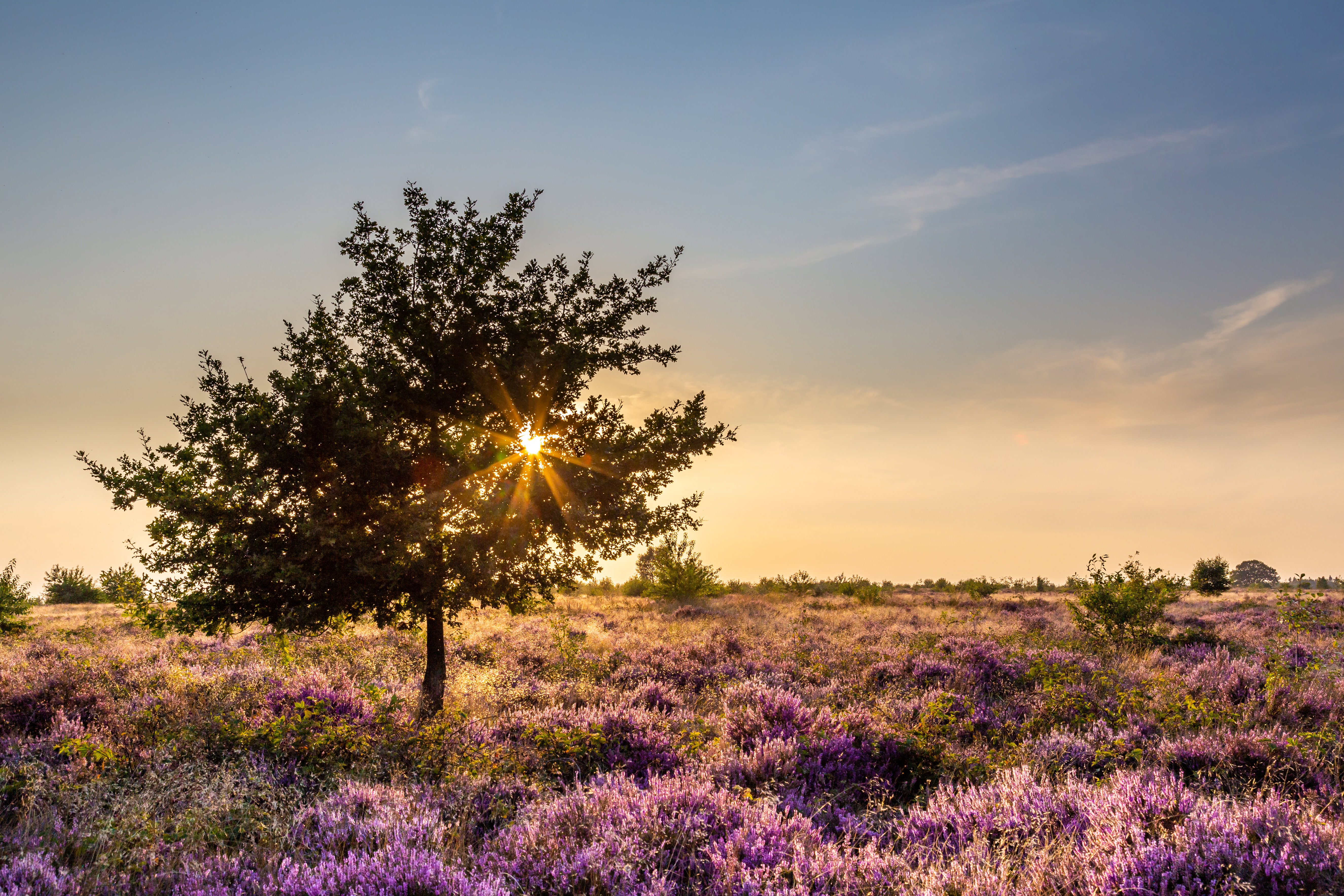 Natuurhuisje in Otterlo