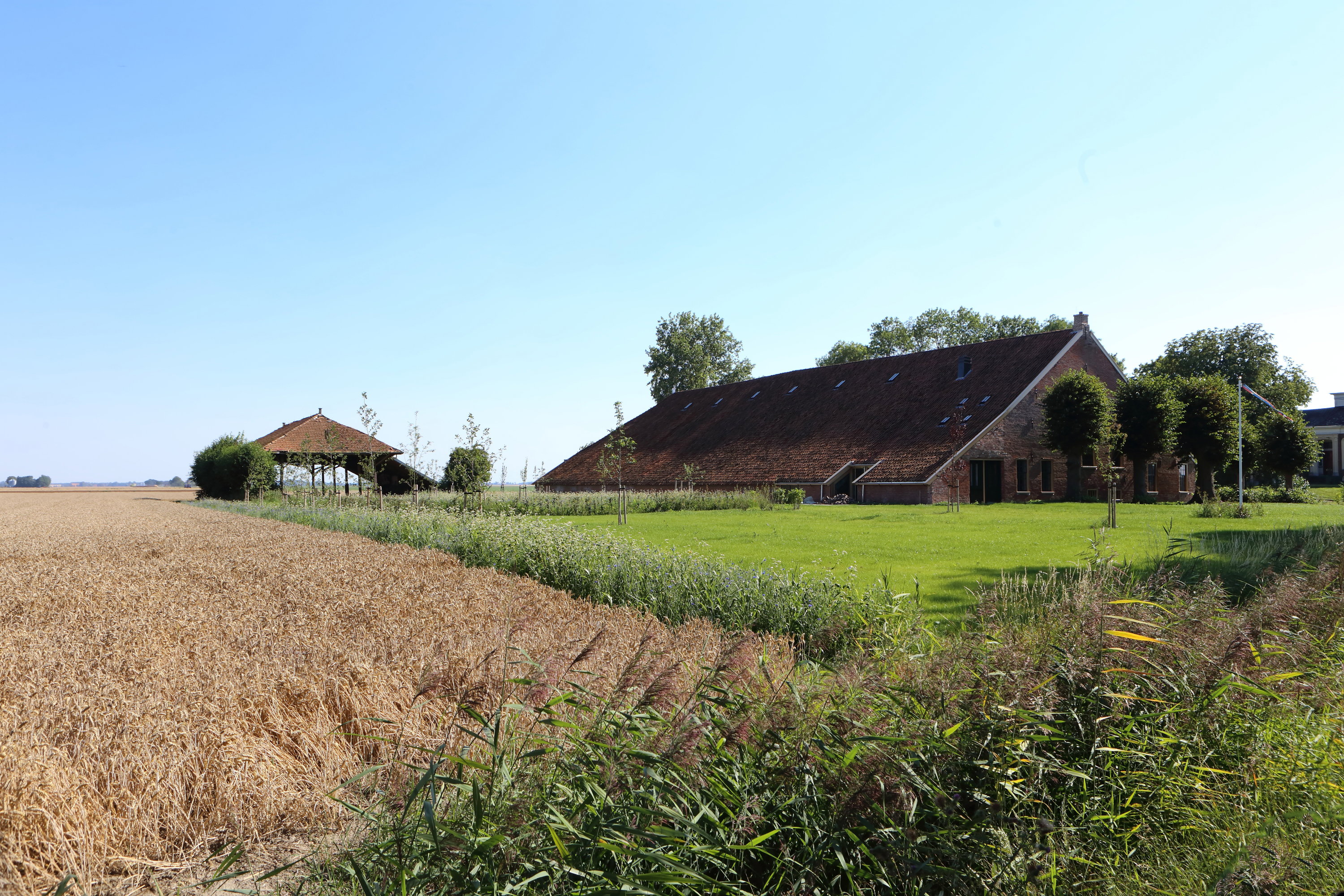 Naturhäuschen in Nieuwolda