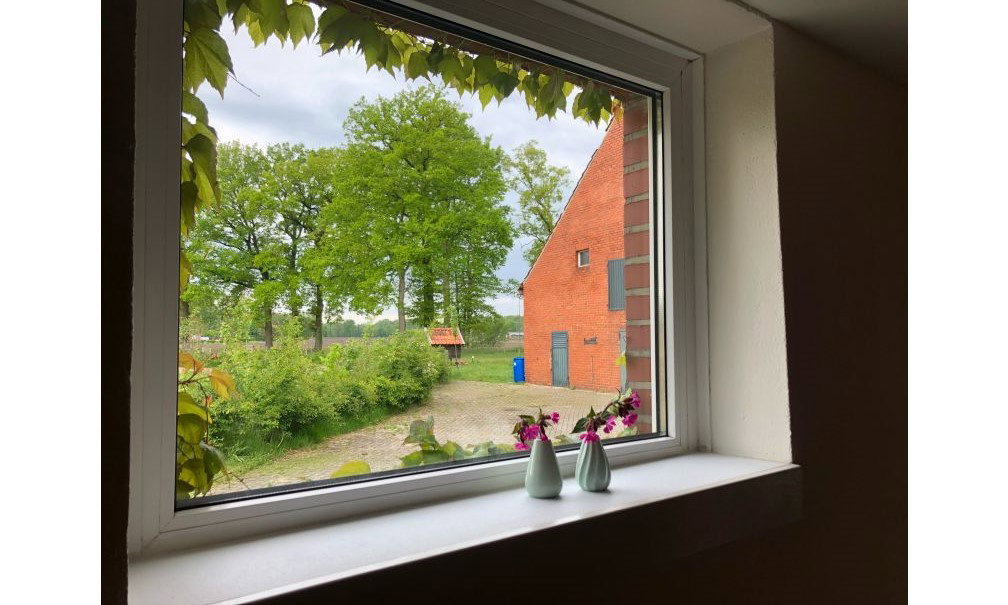 Naturhäuschen in Halle