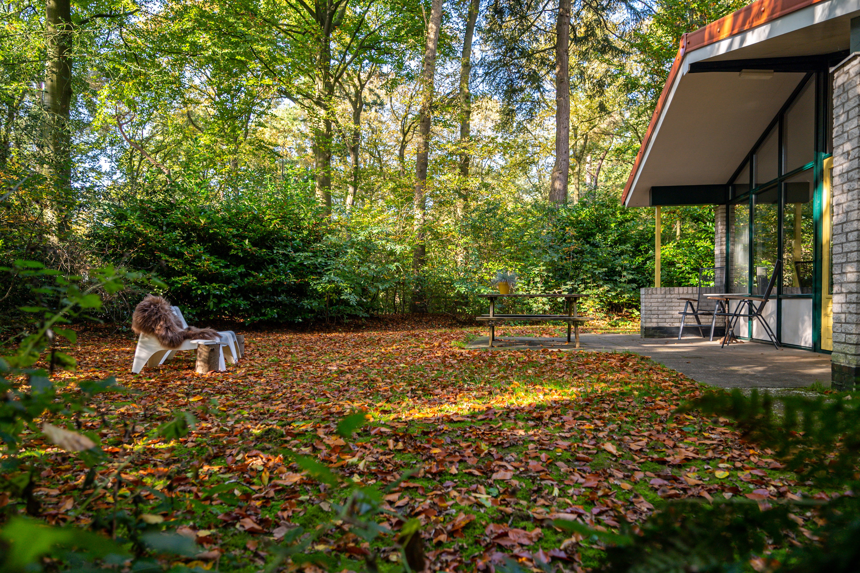 Maison nature à Oudemirdum