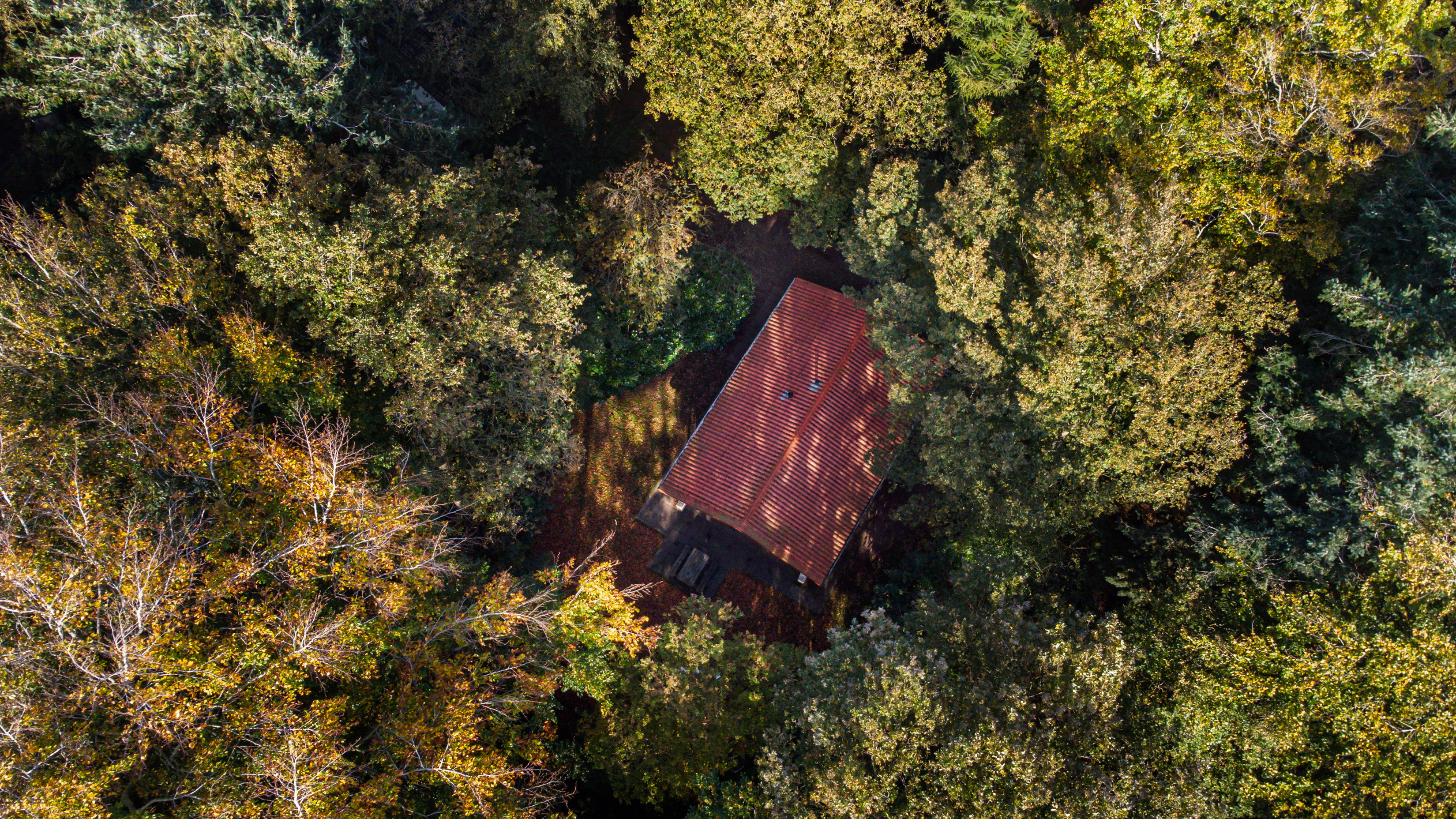 Maison nature à Oudemirdum