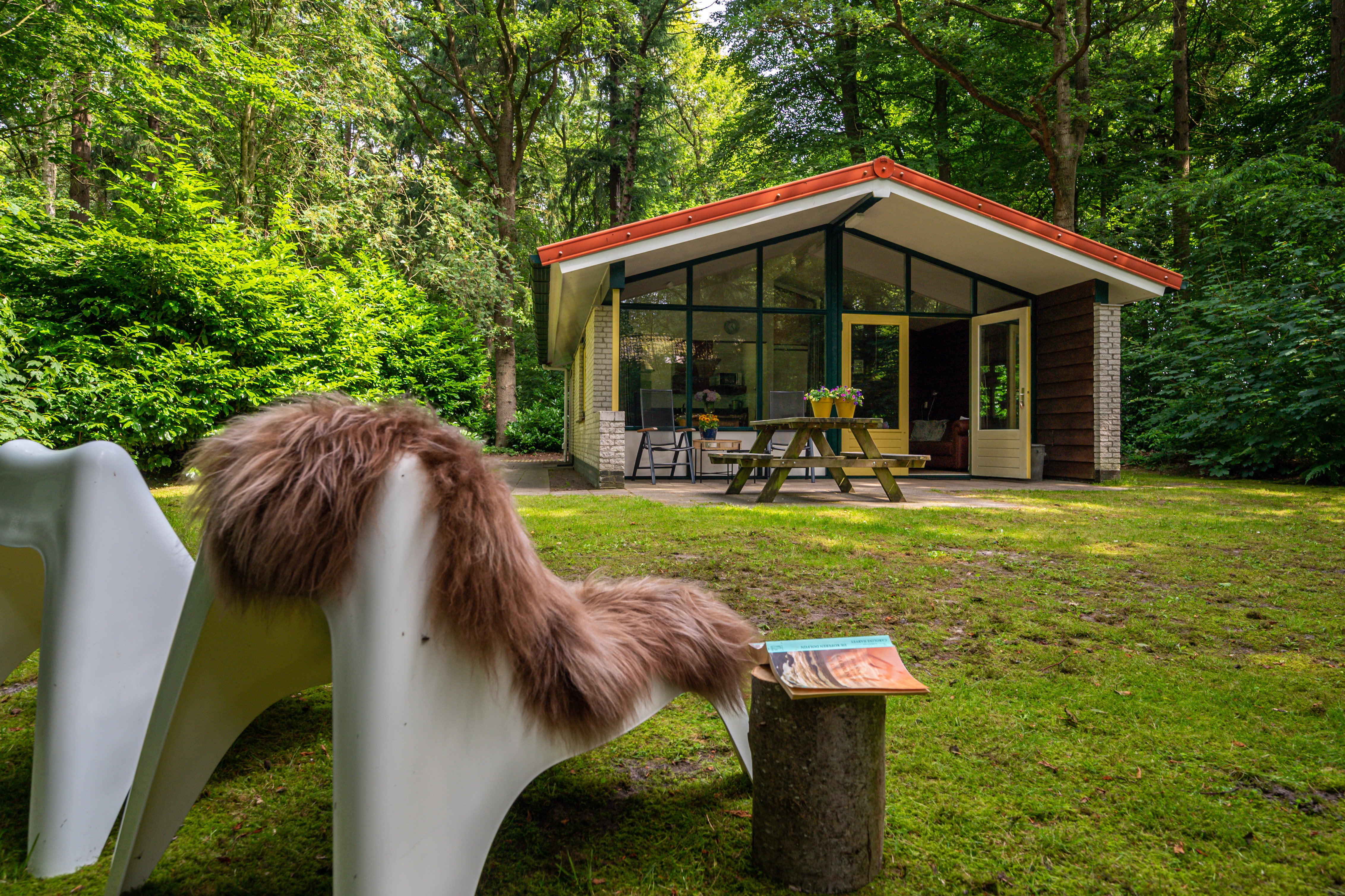 Maison nature à Oudemirdum