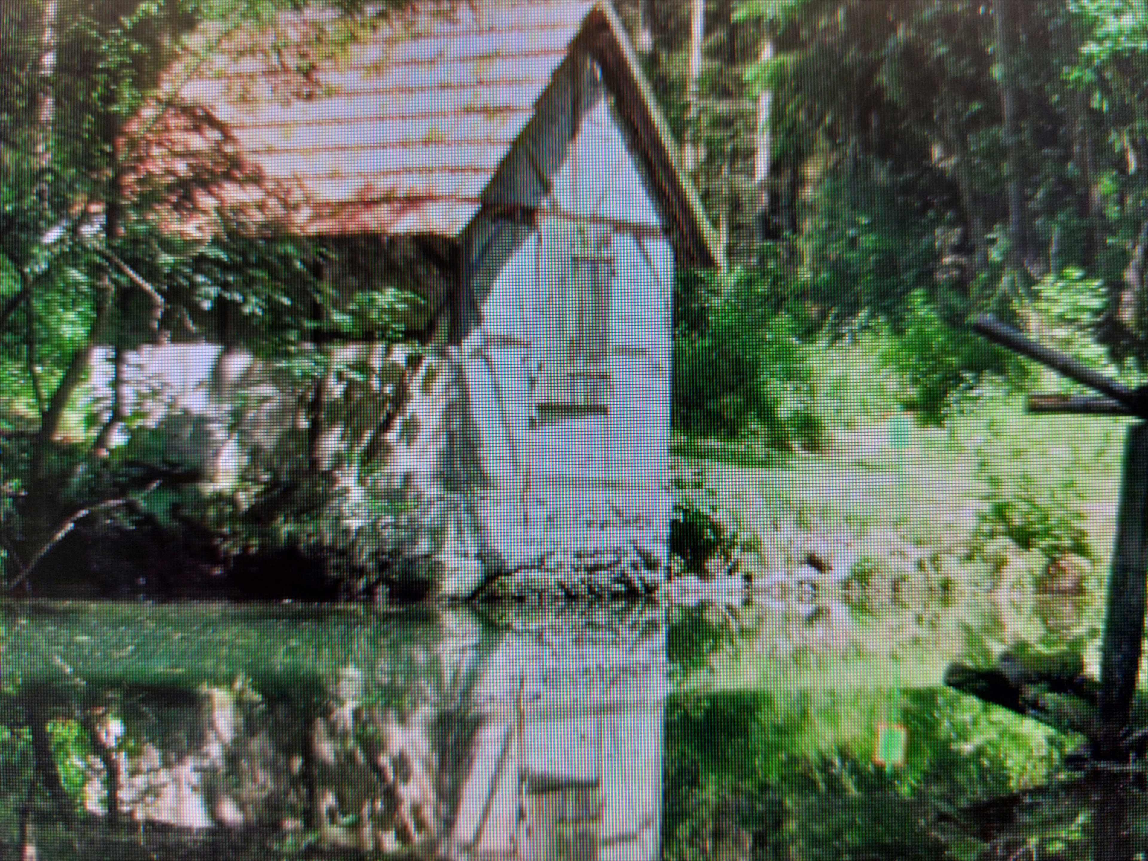 - image: 43