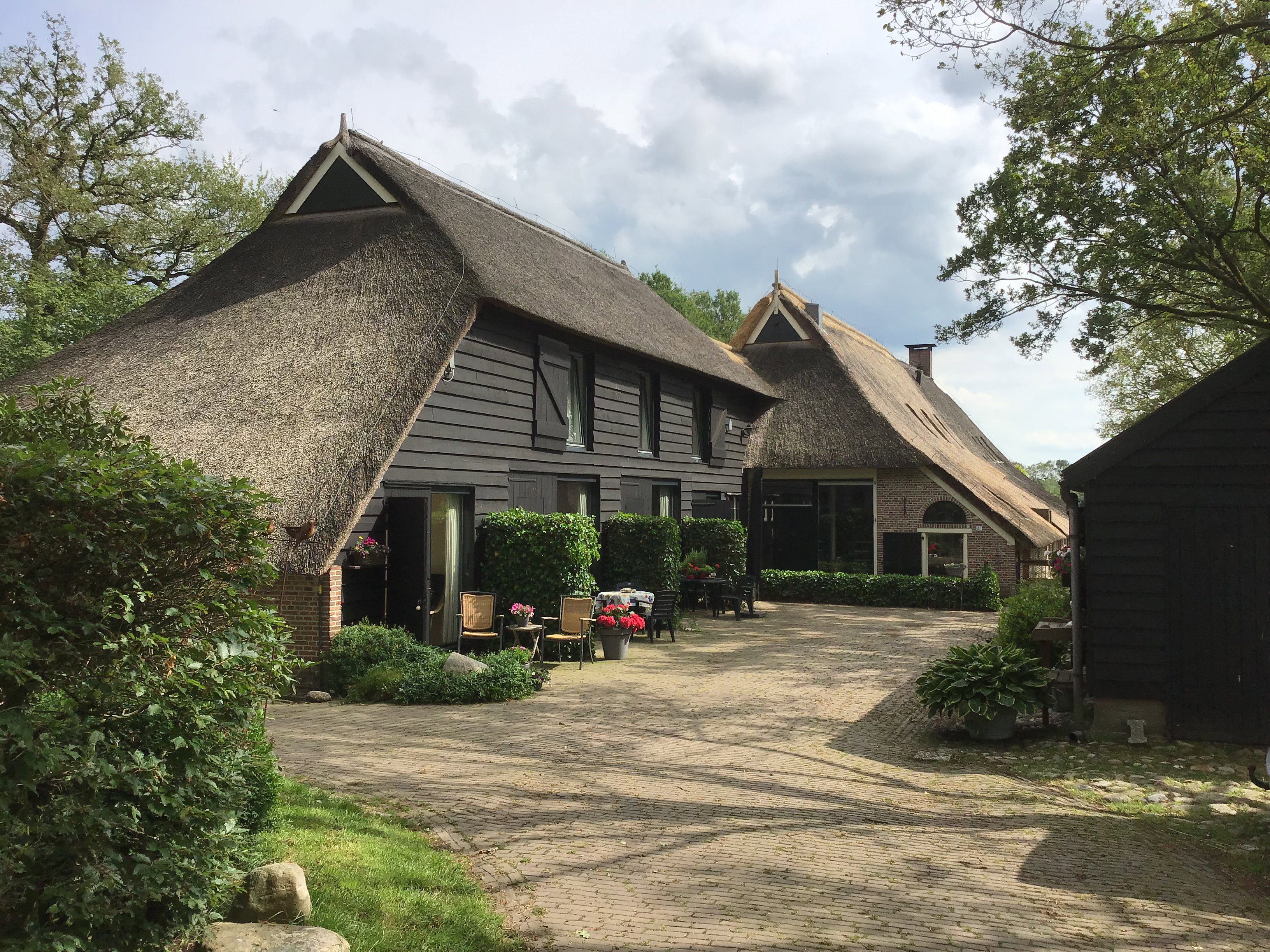 Natuurhuisje in Havelte