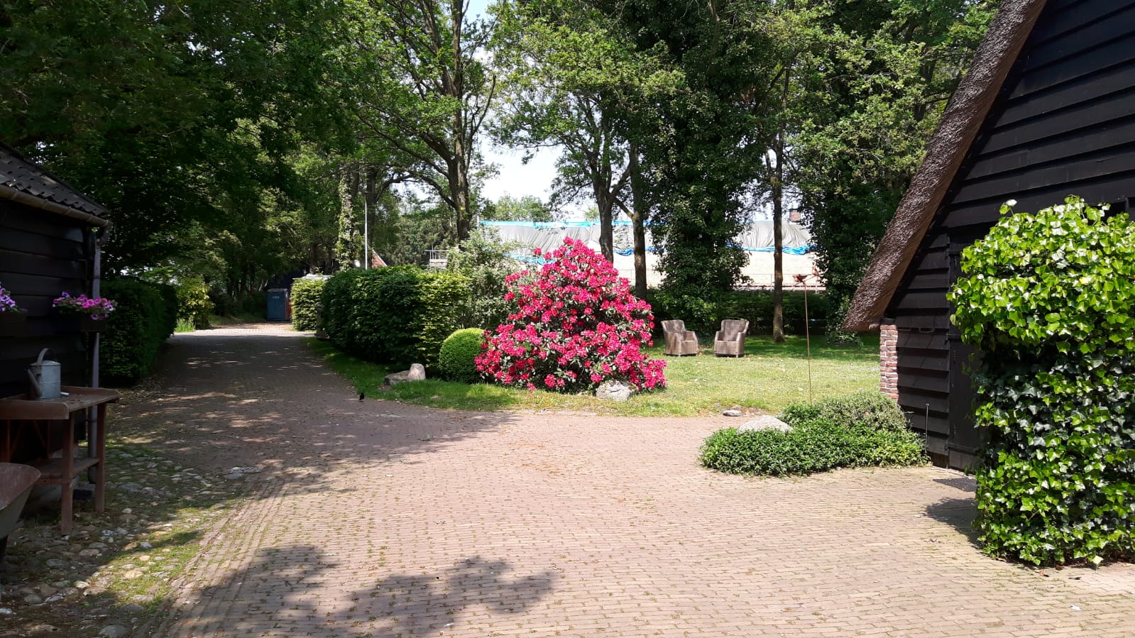 Natuurhuisje in Havelte