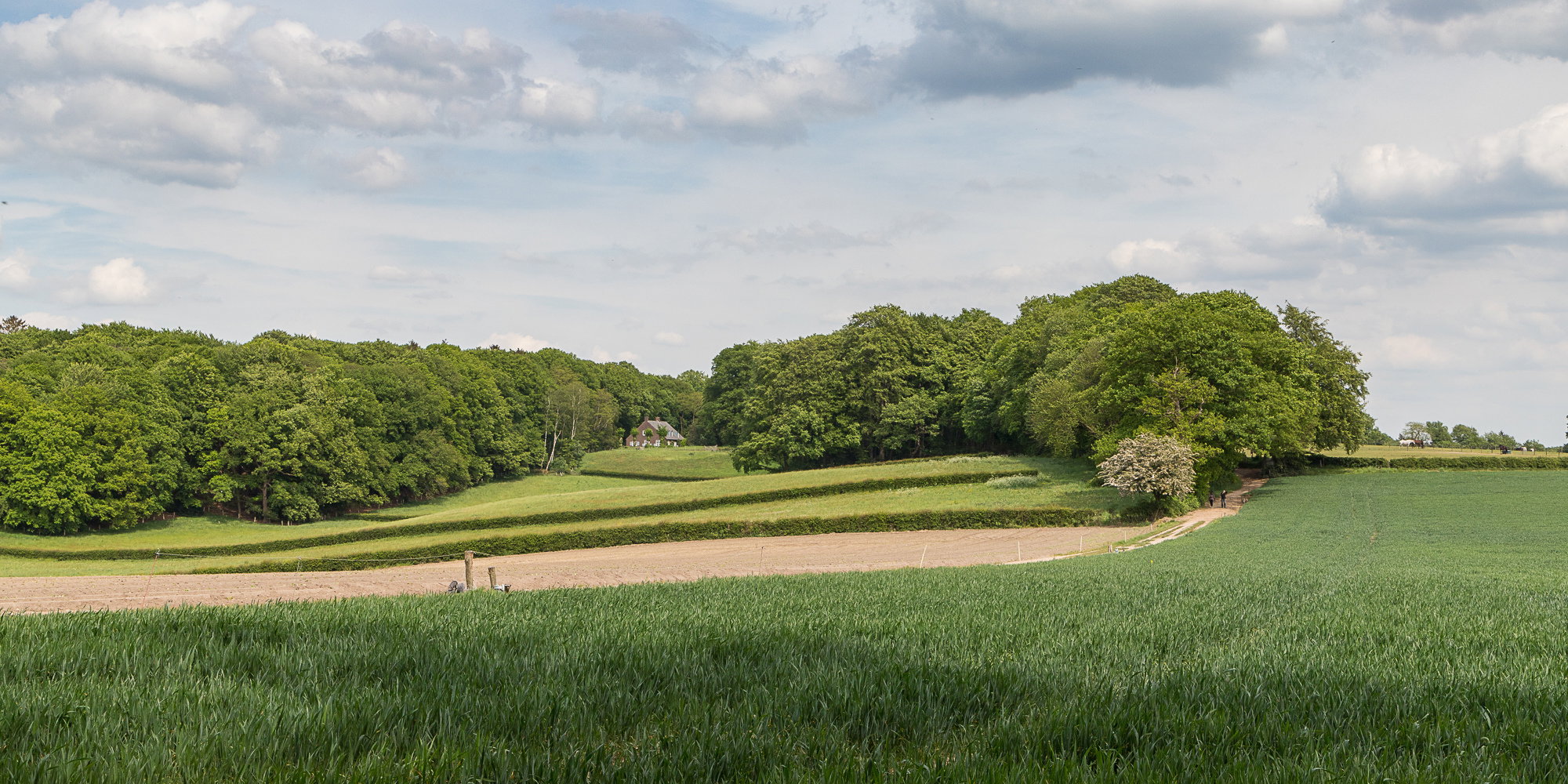 - image: 23