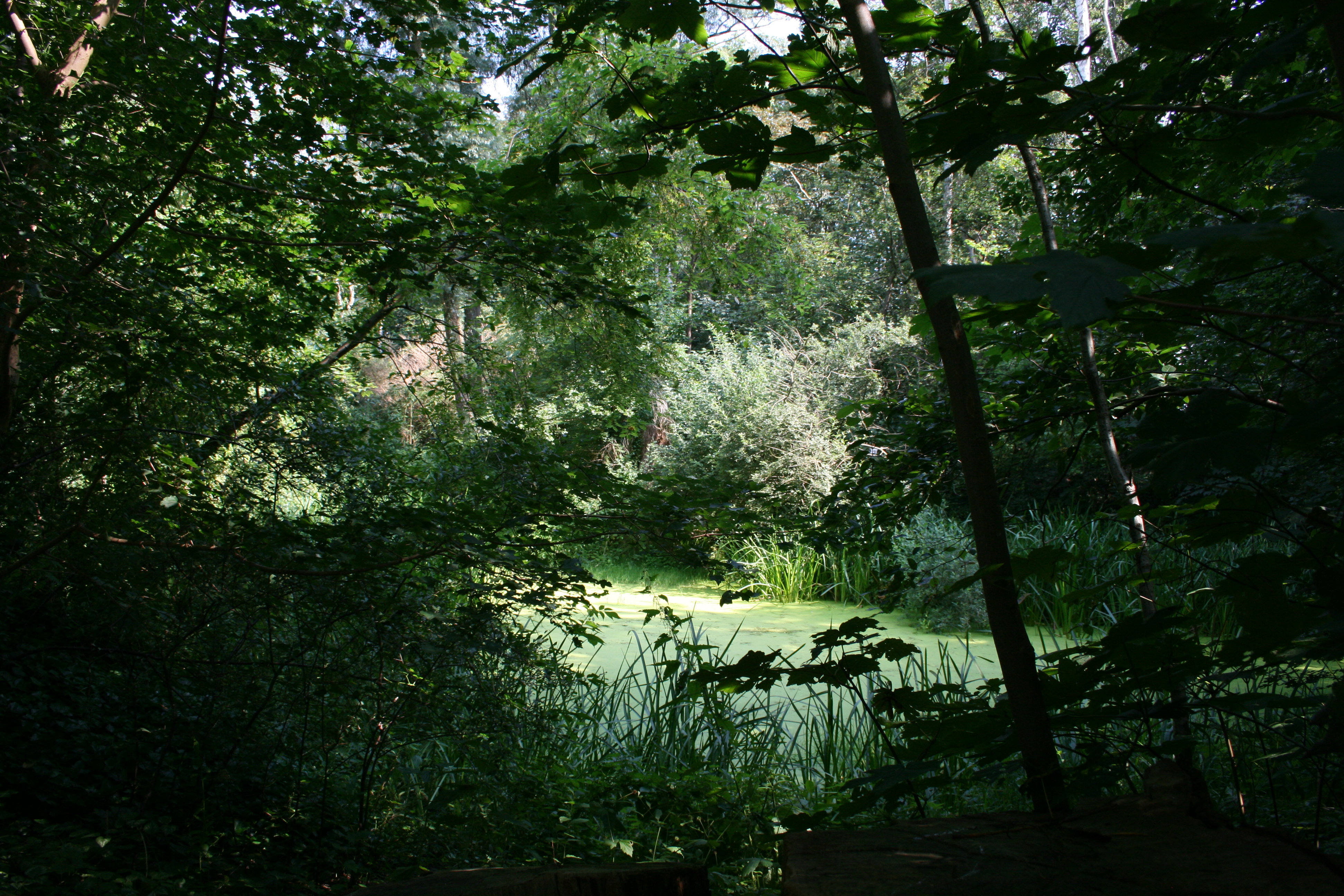 - image: 28