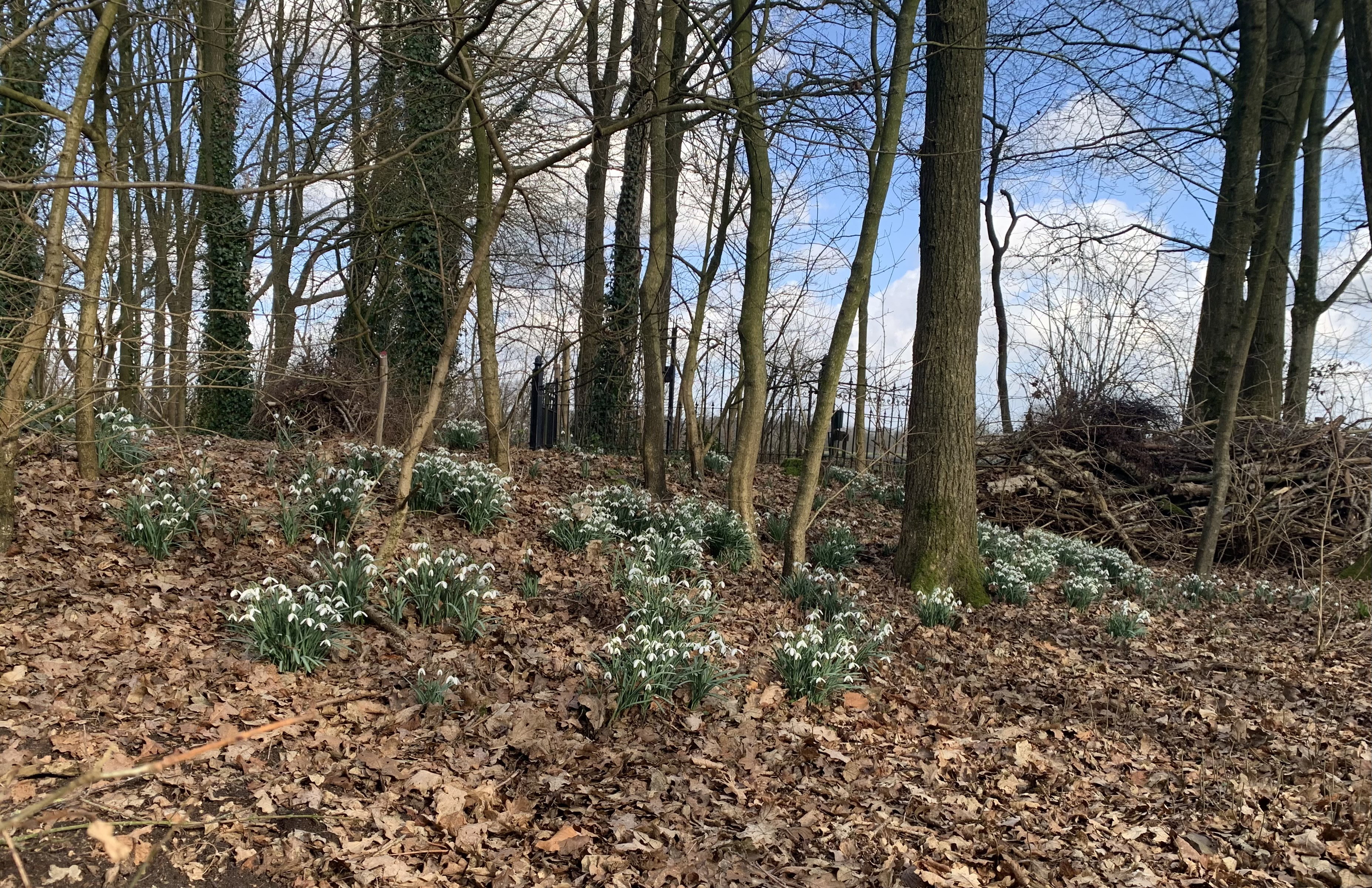 Natuurhuisje in Hengelo  Gelderland, gem. Bronckhorst