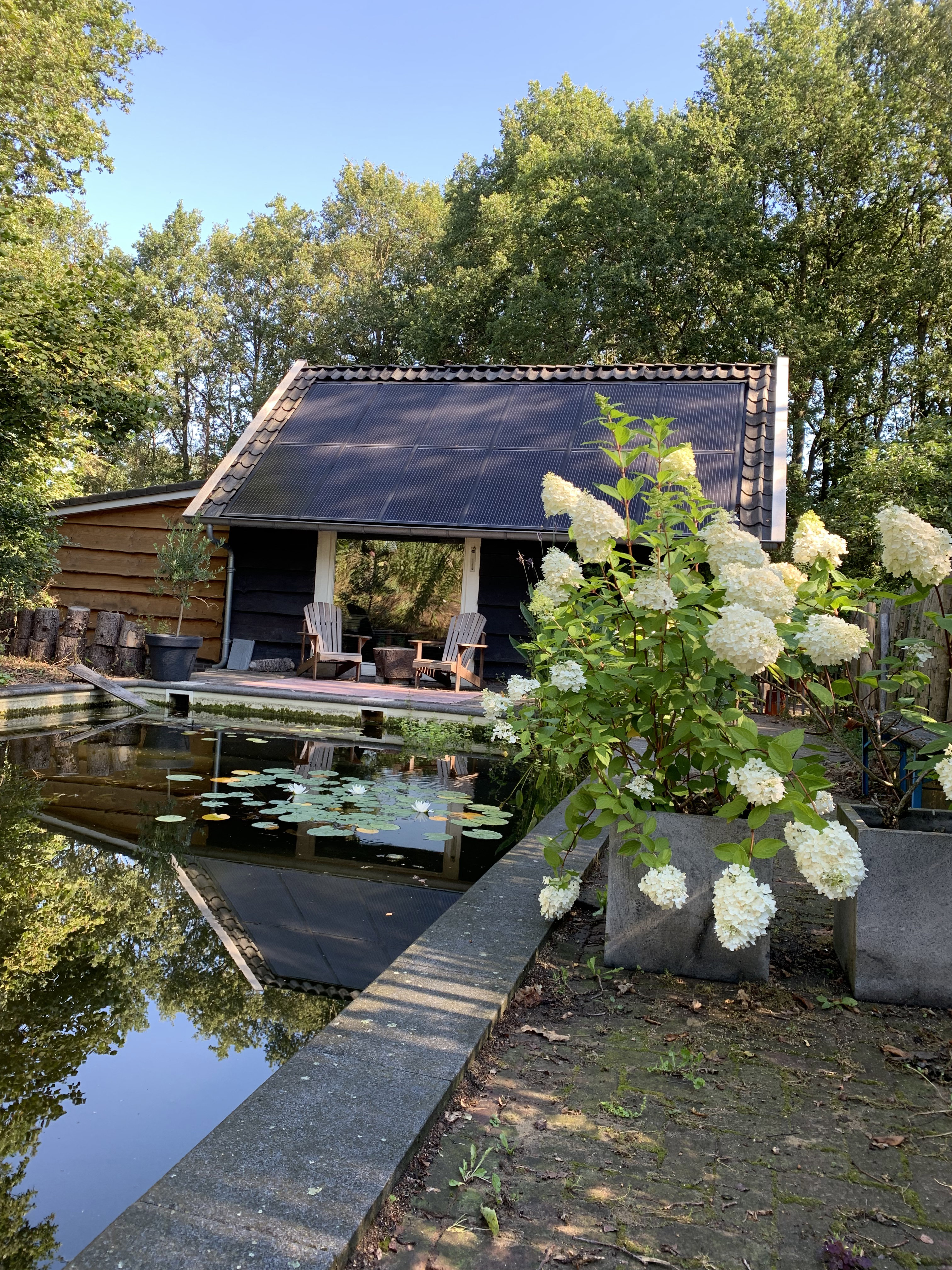 Naturhäuschen in Hengelo  Gelderland, gem. Bronckhorst
