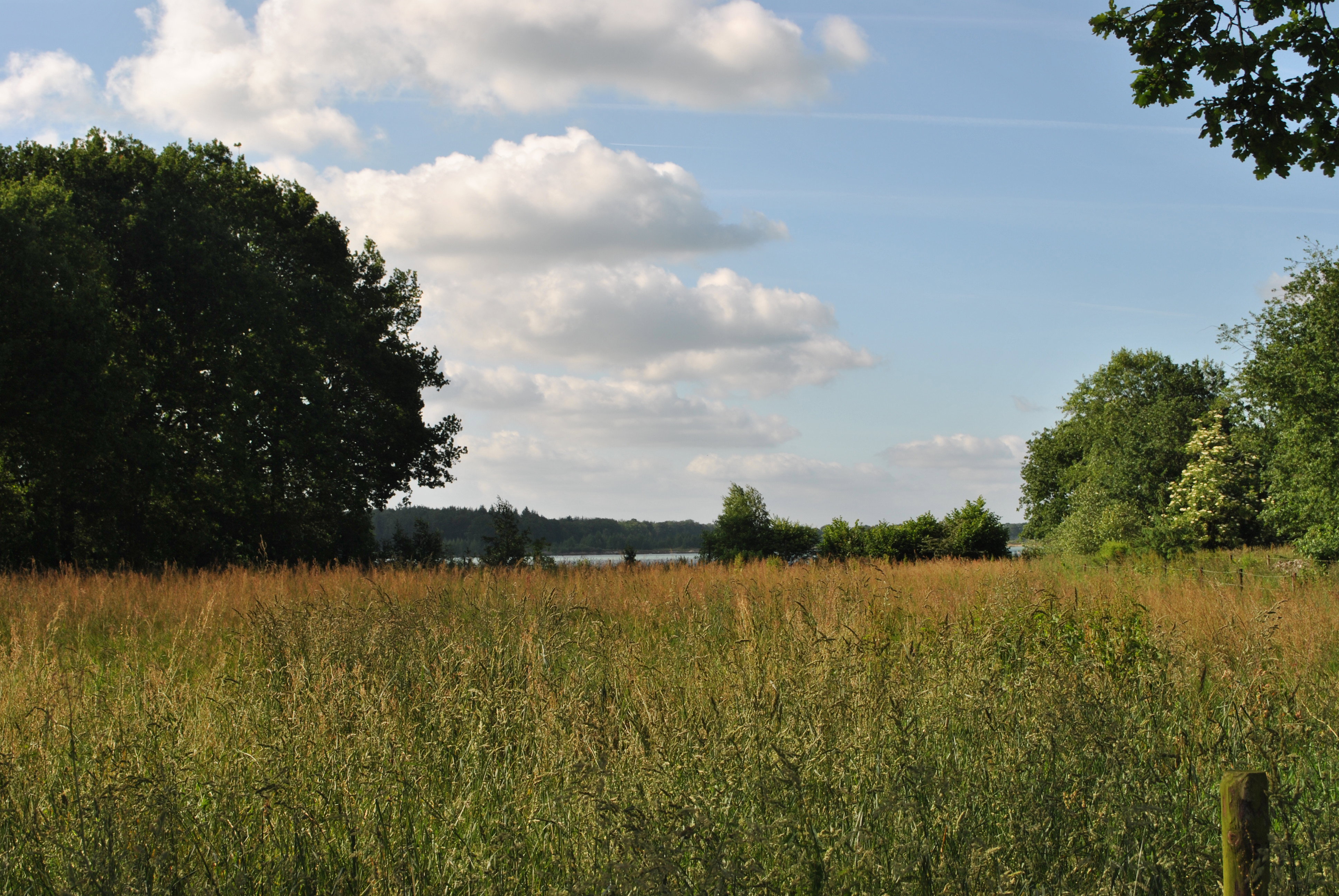 Natuurhuisje in Ellertshaar