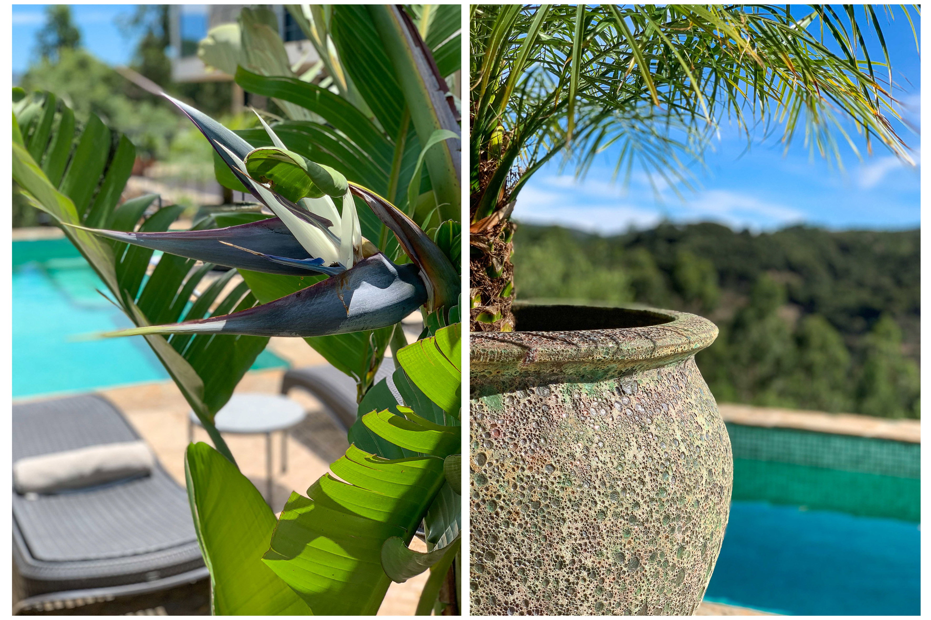 Natuurhuisje in São Brás de Alportel