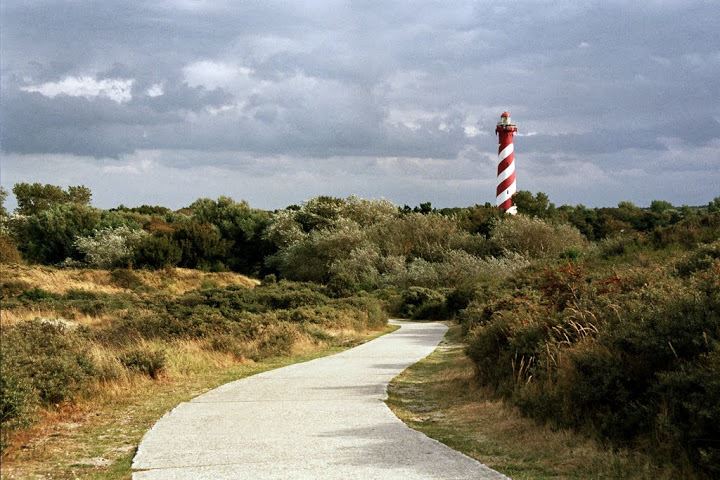 - image: 14