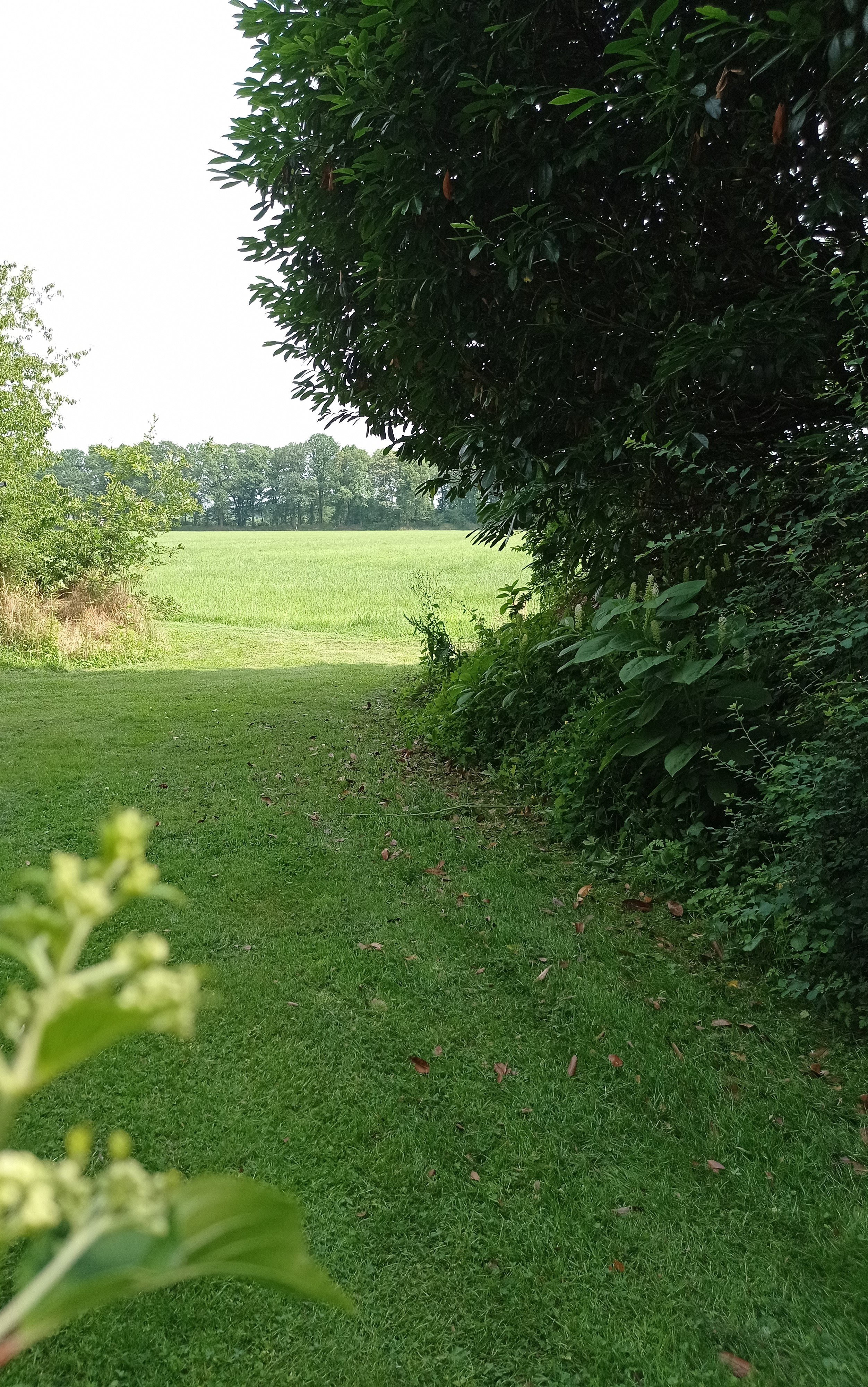 Natuurhuisje in Aalten