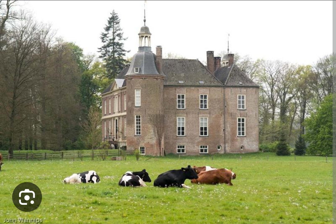 - image: 13