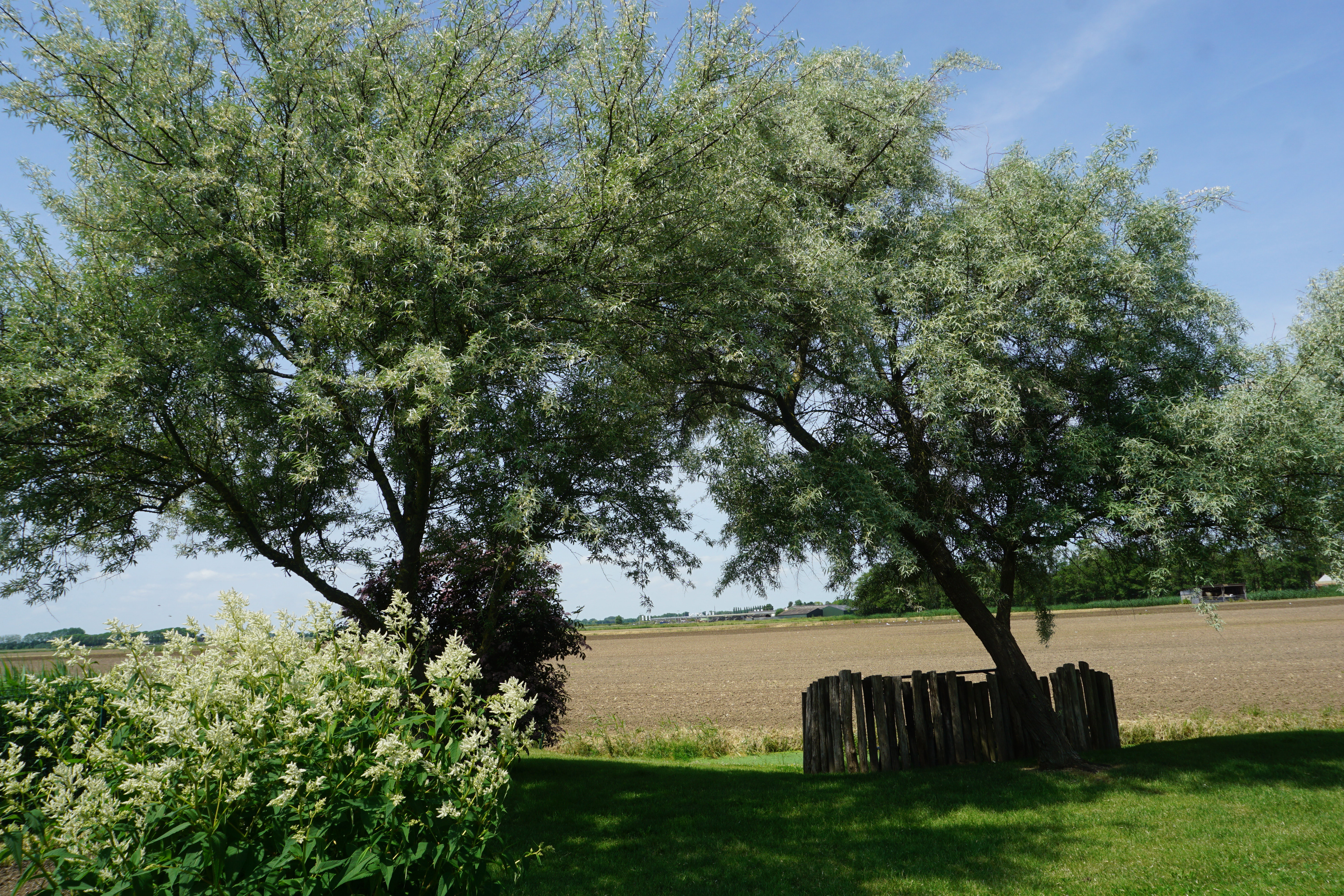 Naturhäuschen in Rijswijk