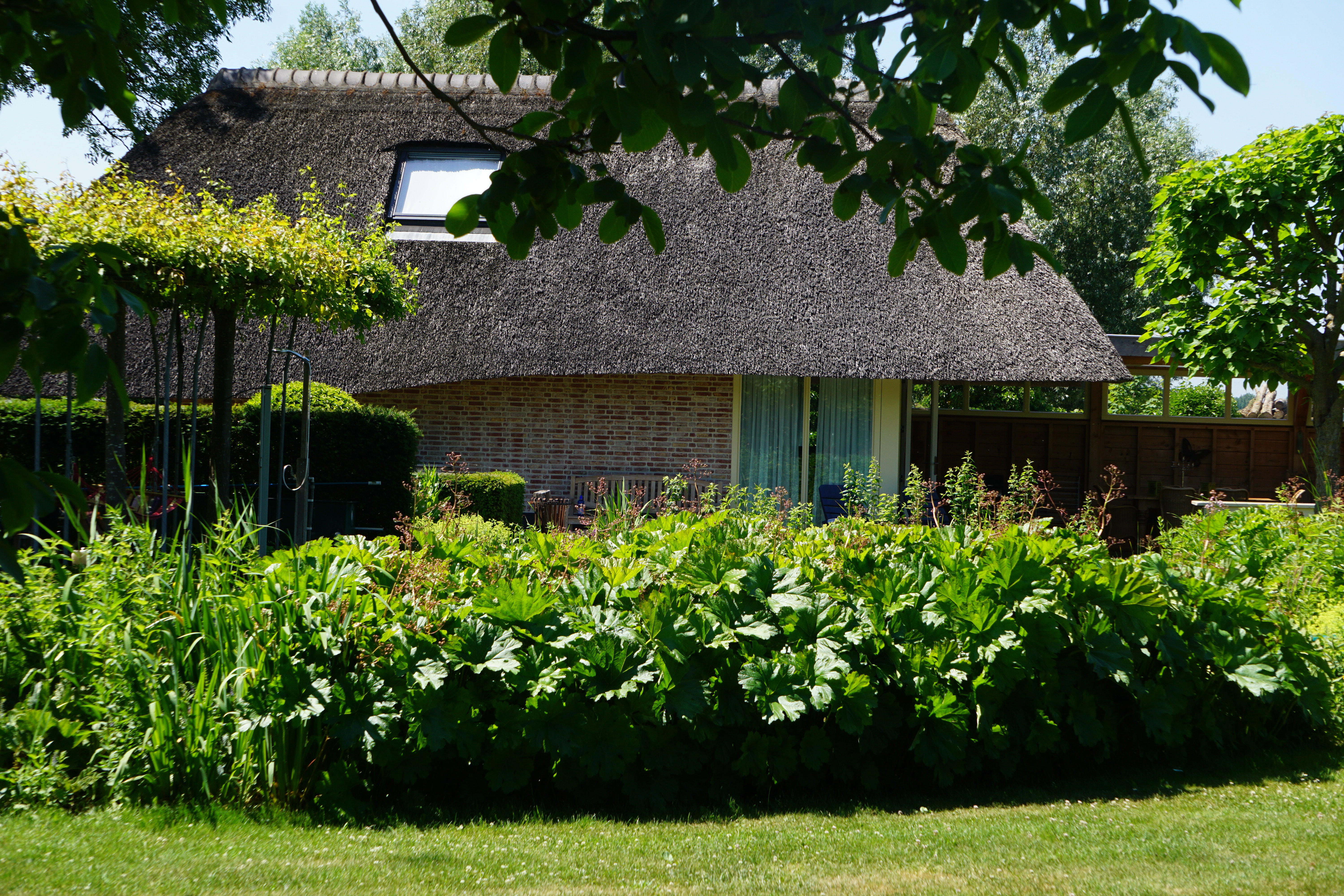 Naturhäuschen in Rijswijk