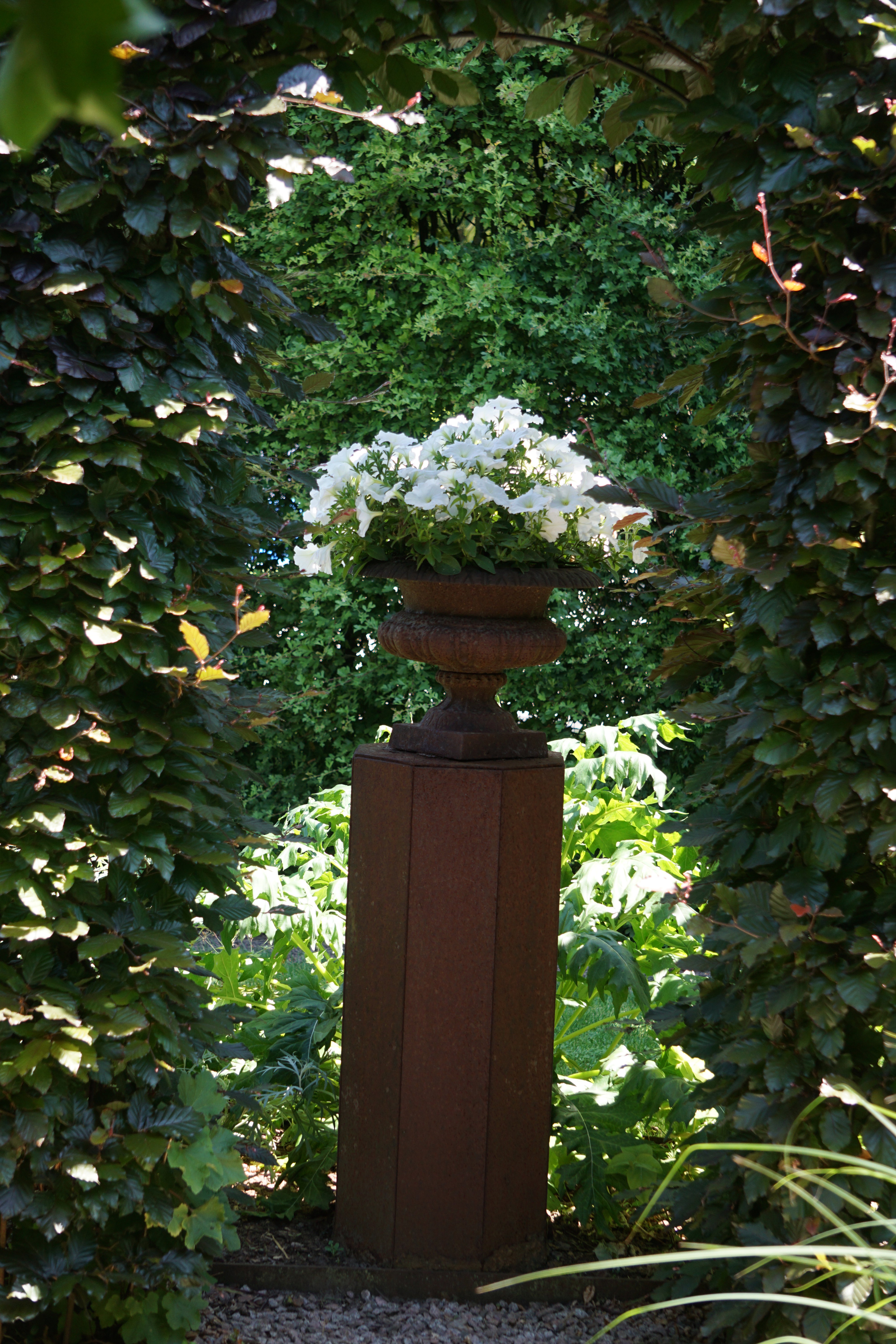 - image: 11