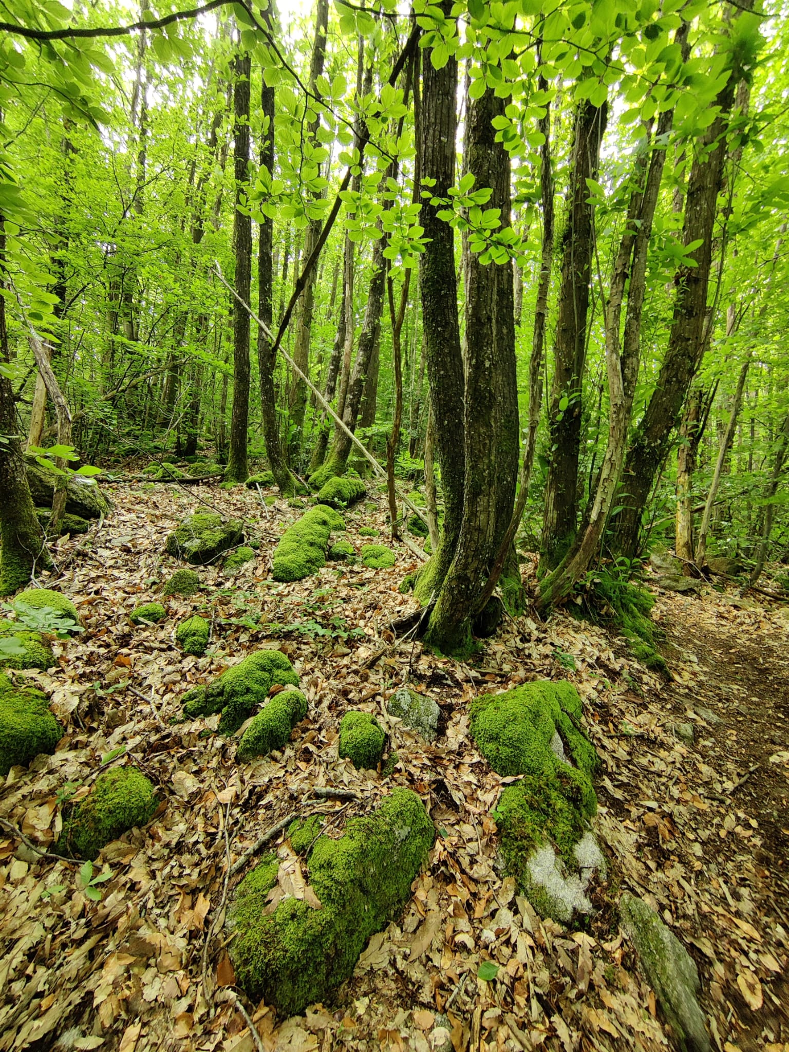 - image: 13