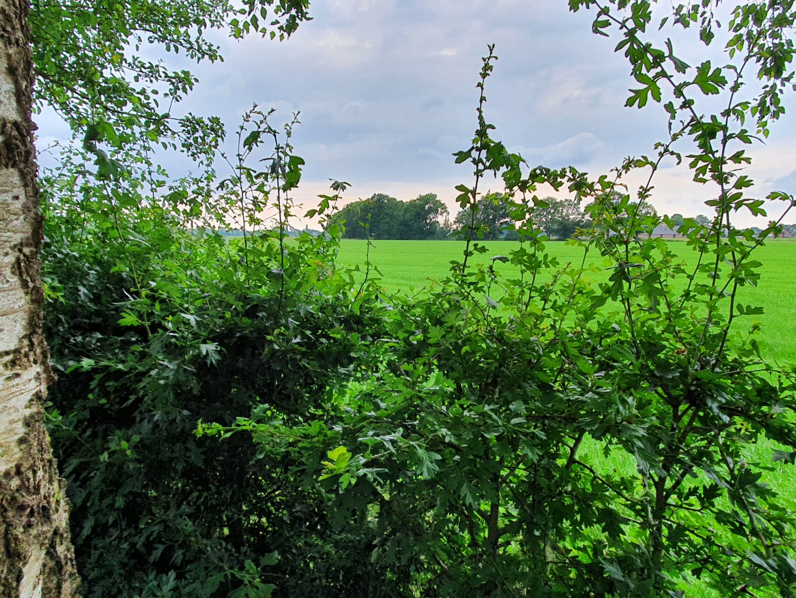 Maison nature à Klarenbeek