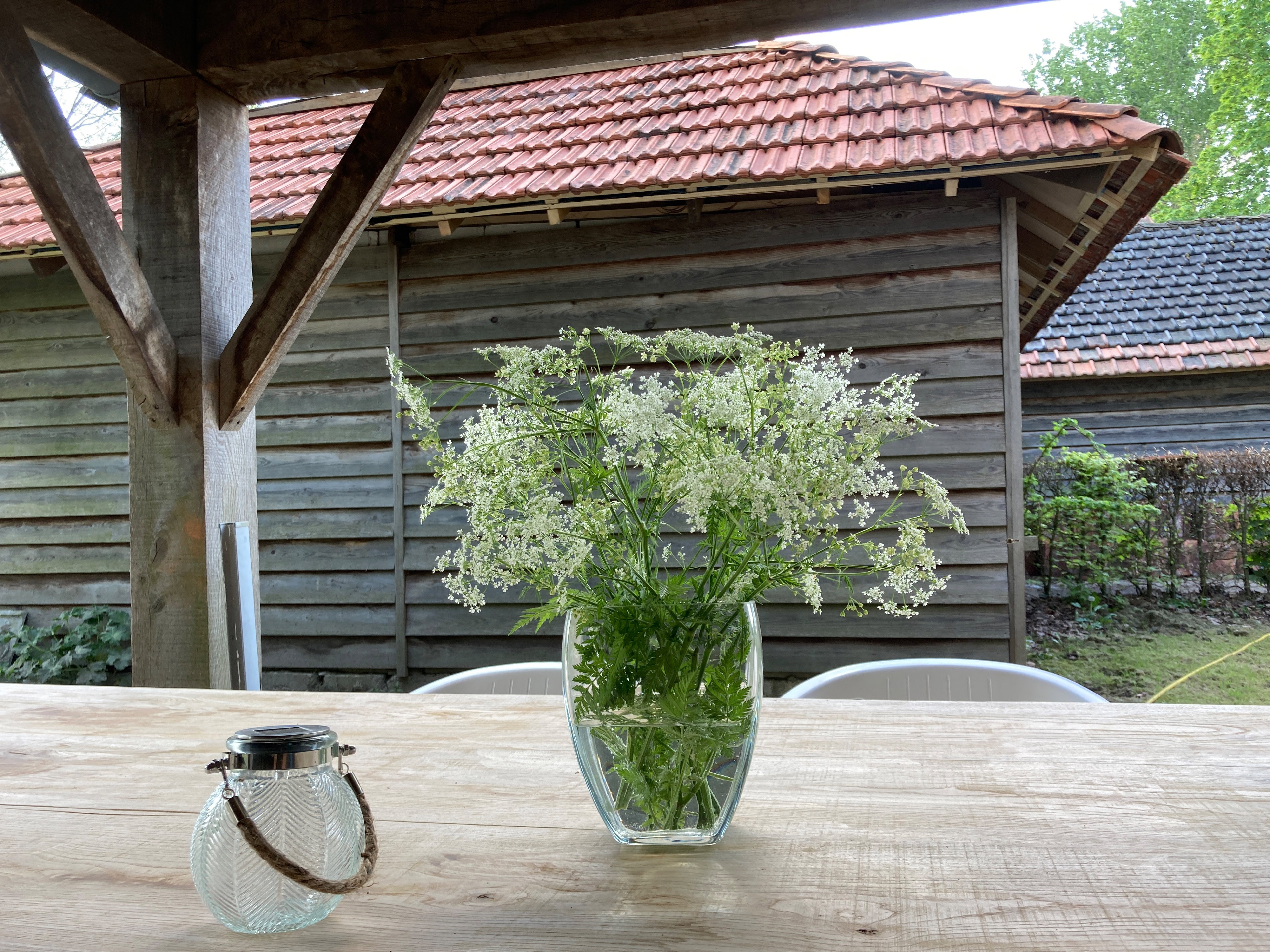 Natuurhuisje in Empe