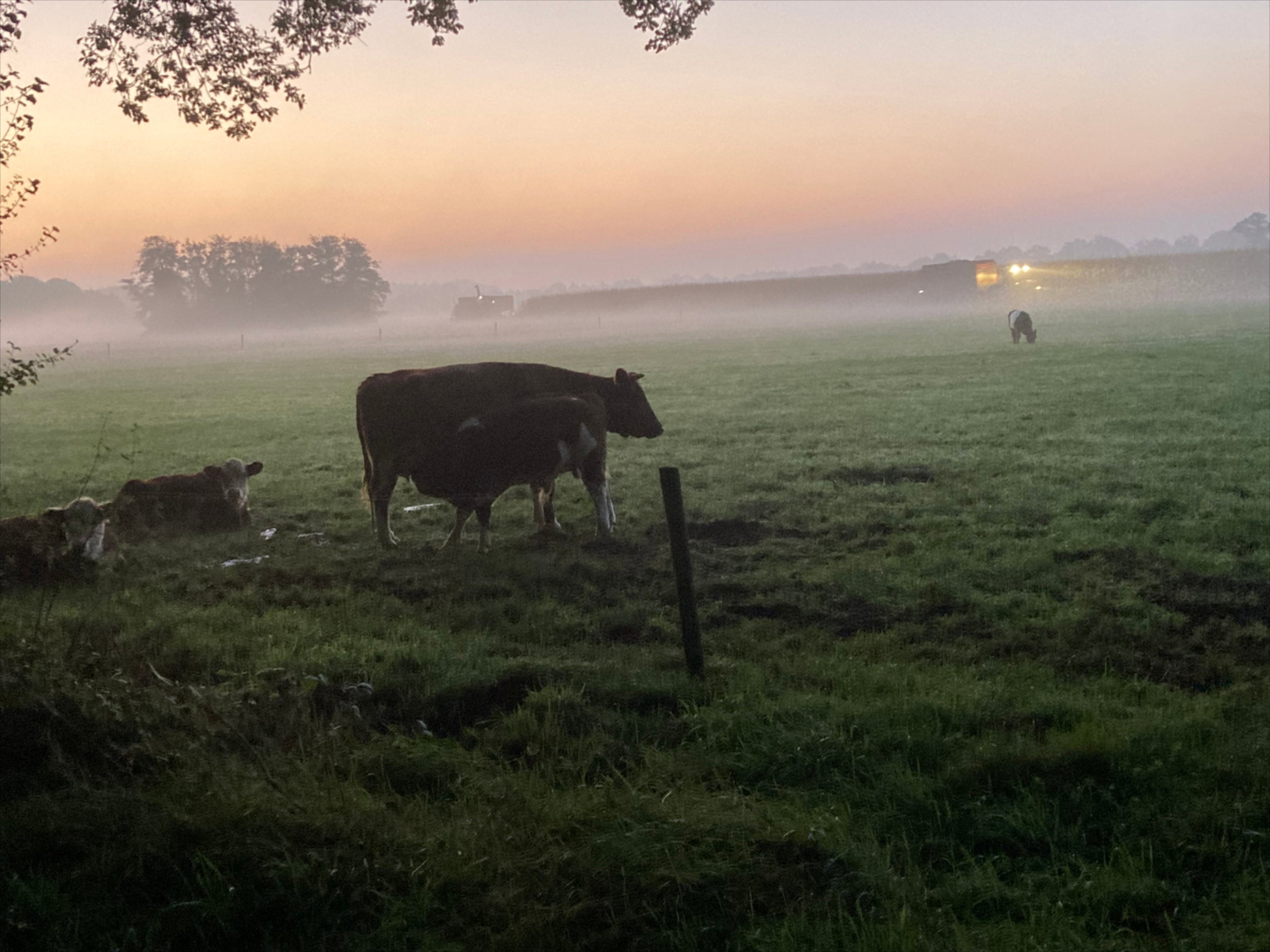 Naturhäuschen in Empe