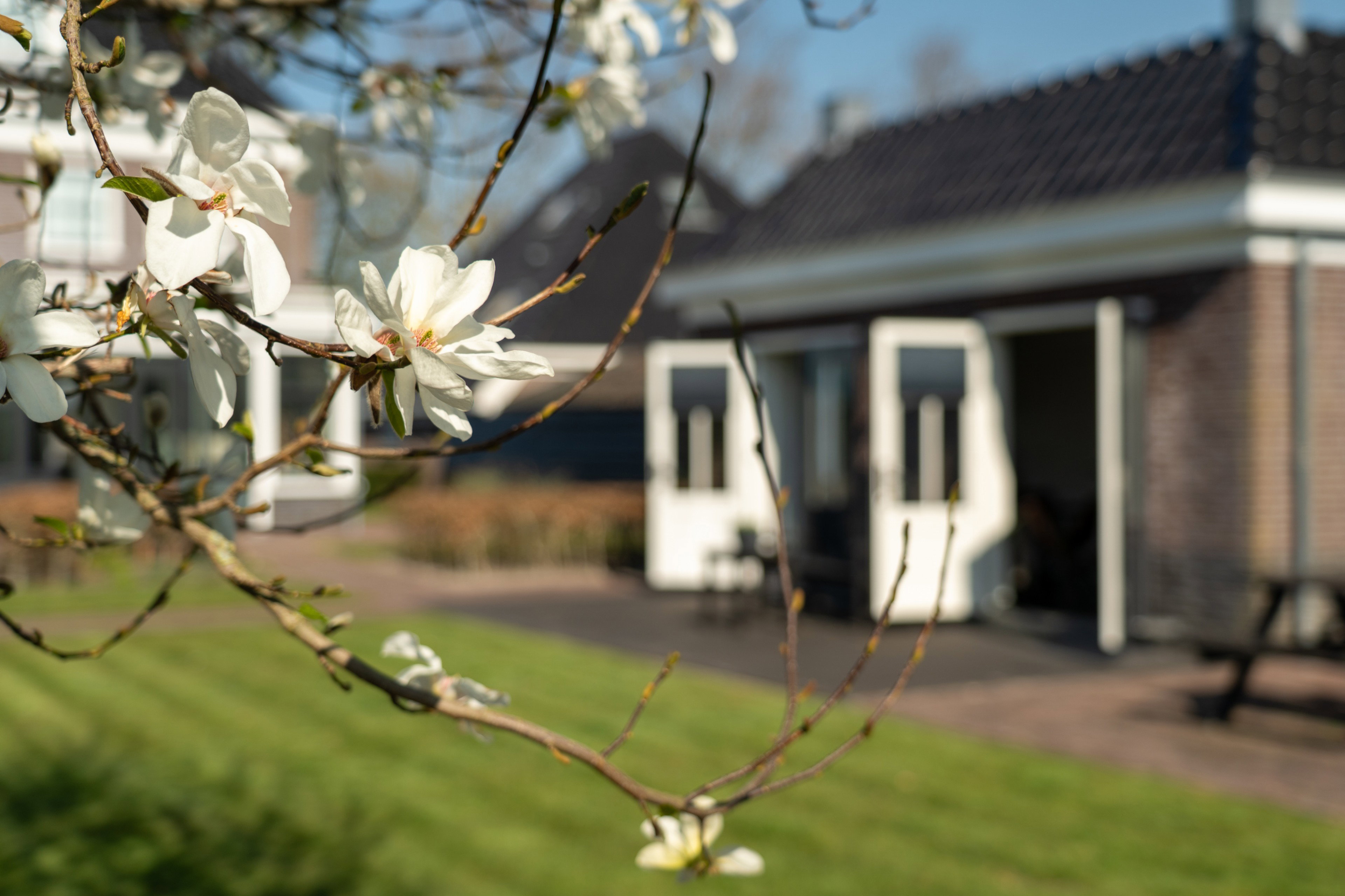 Natuurhuisje in Breezand